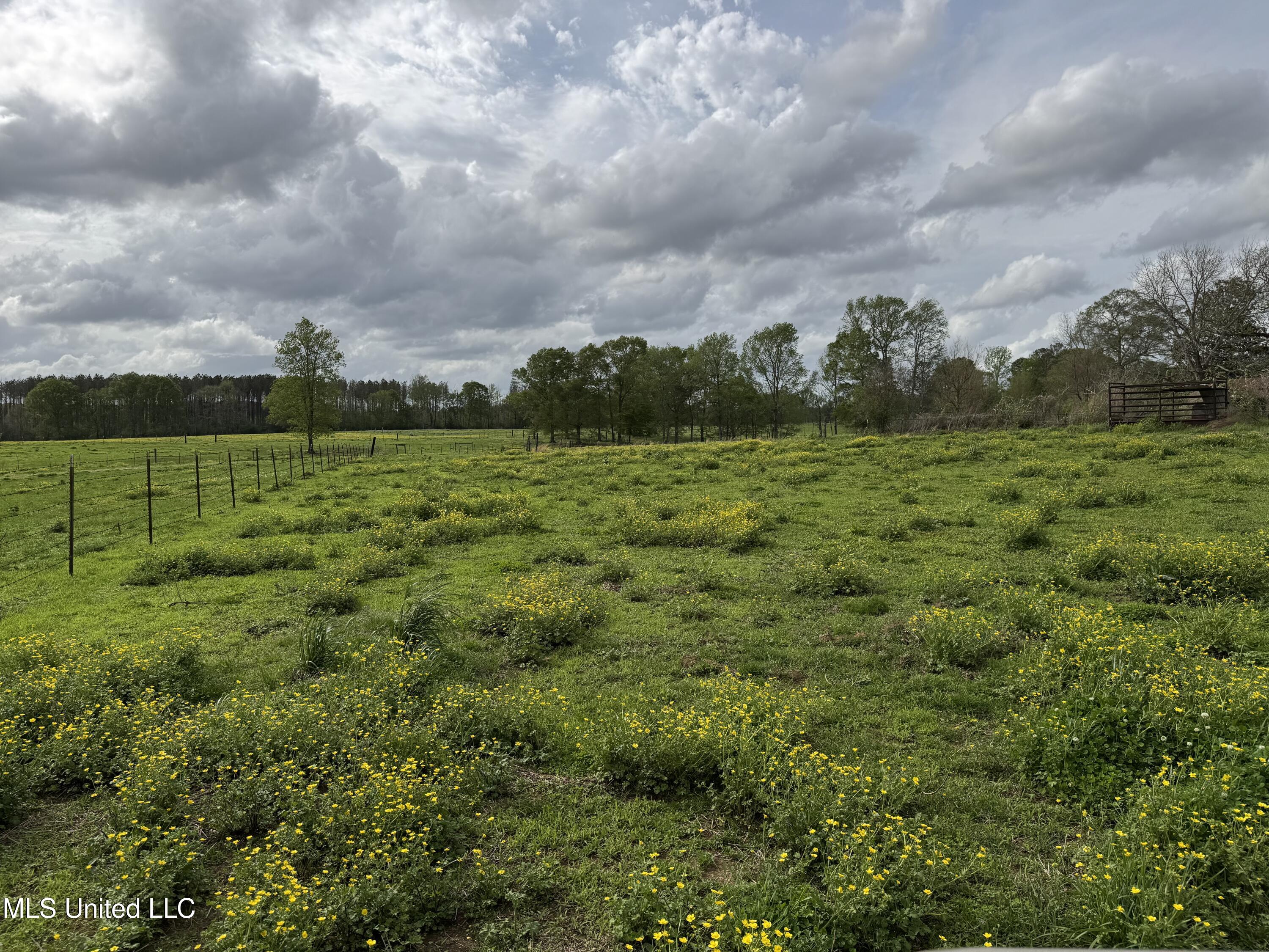 2509 Bogue Chitto Road Property Photo 20