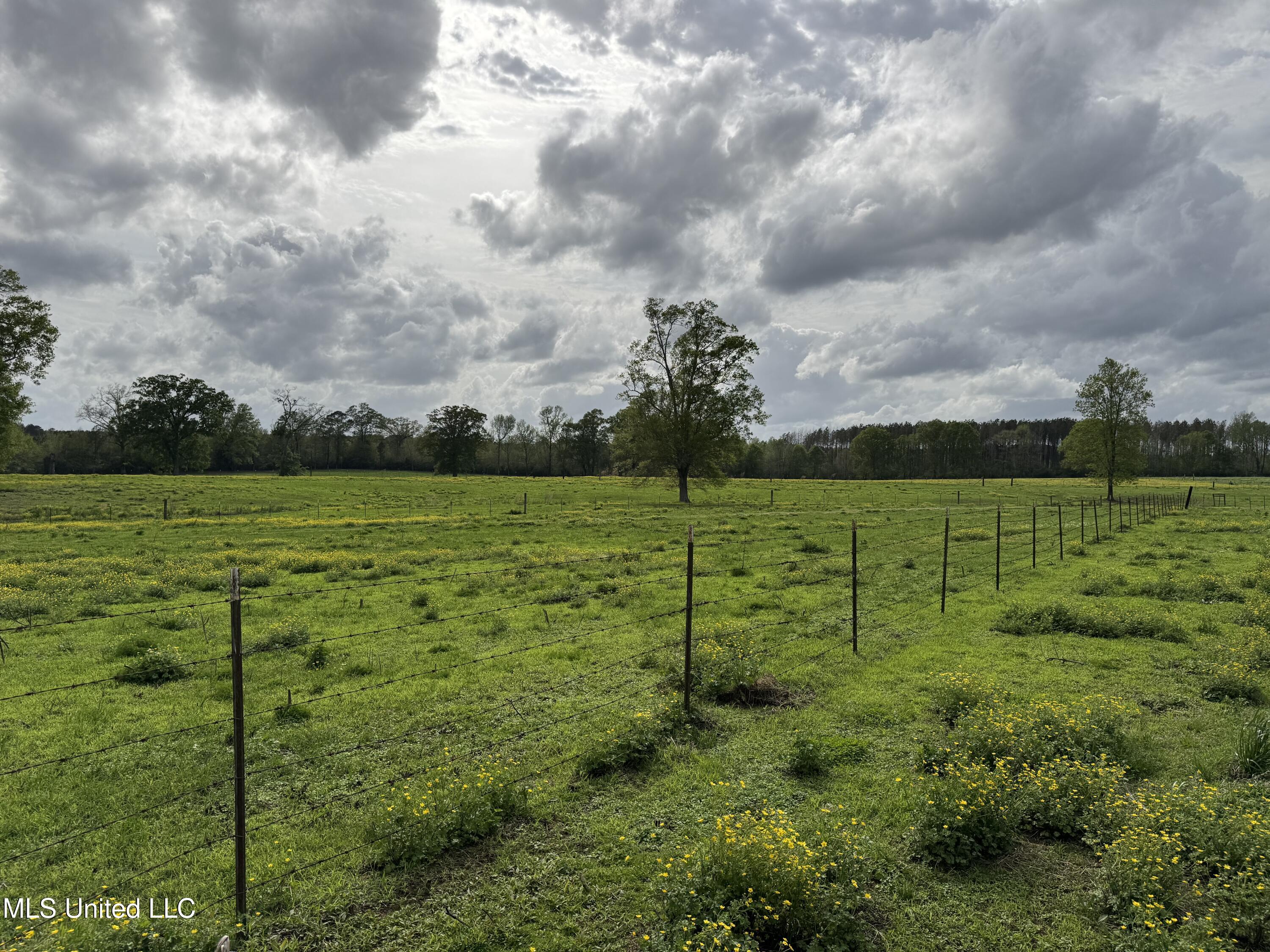 2509 Bogue Chitto Road Property Photo 21