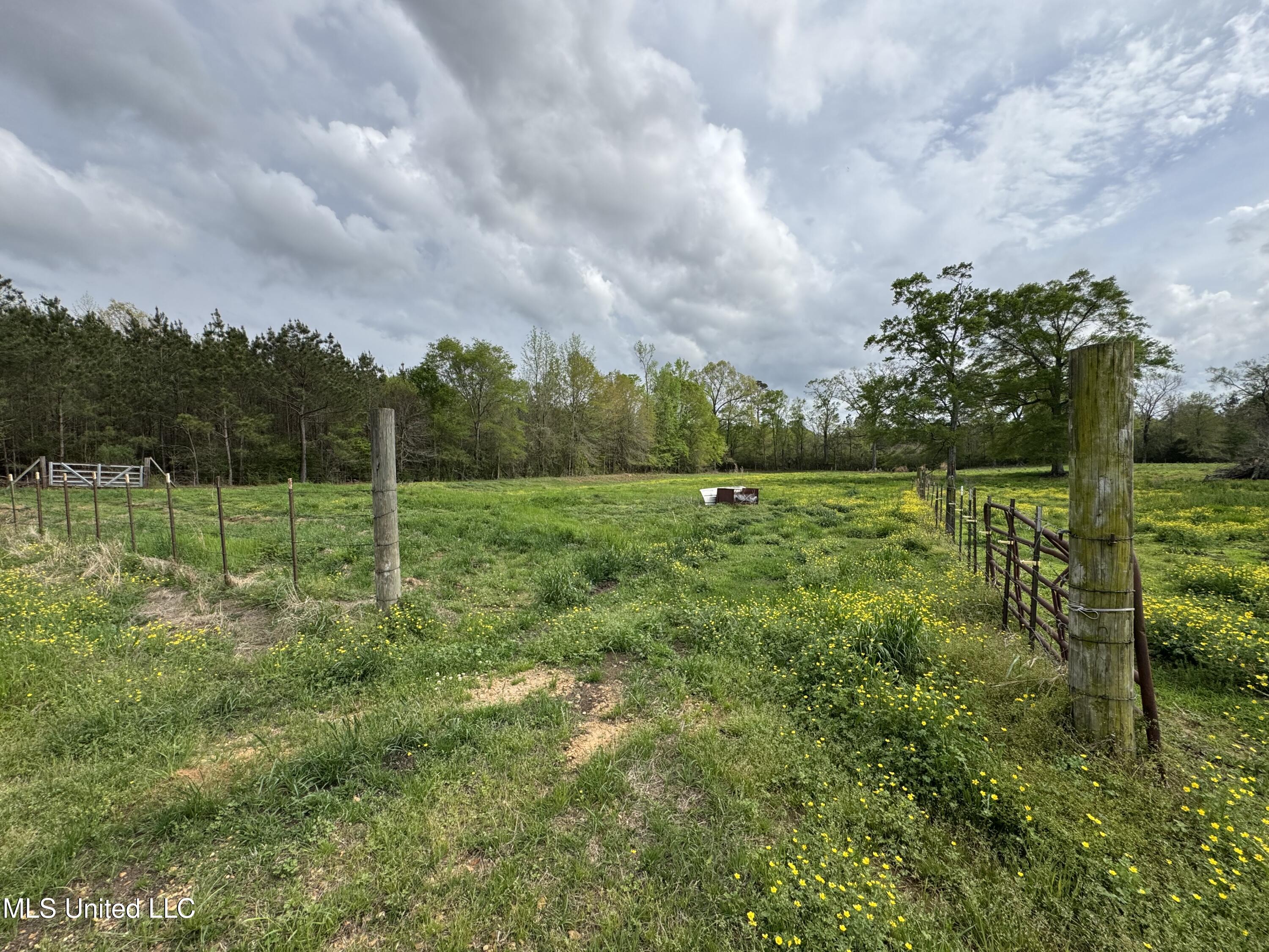 2509 Bogue Chitto Road Property Photo 25