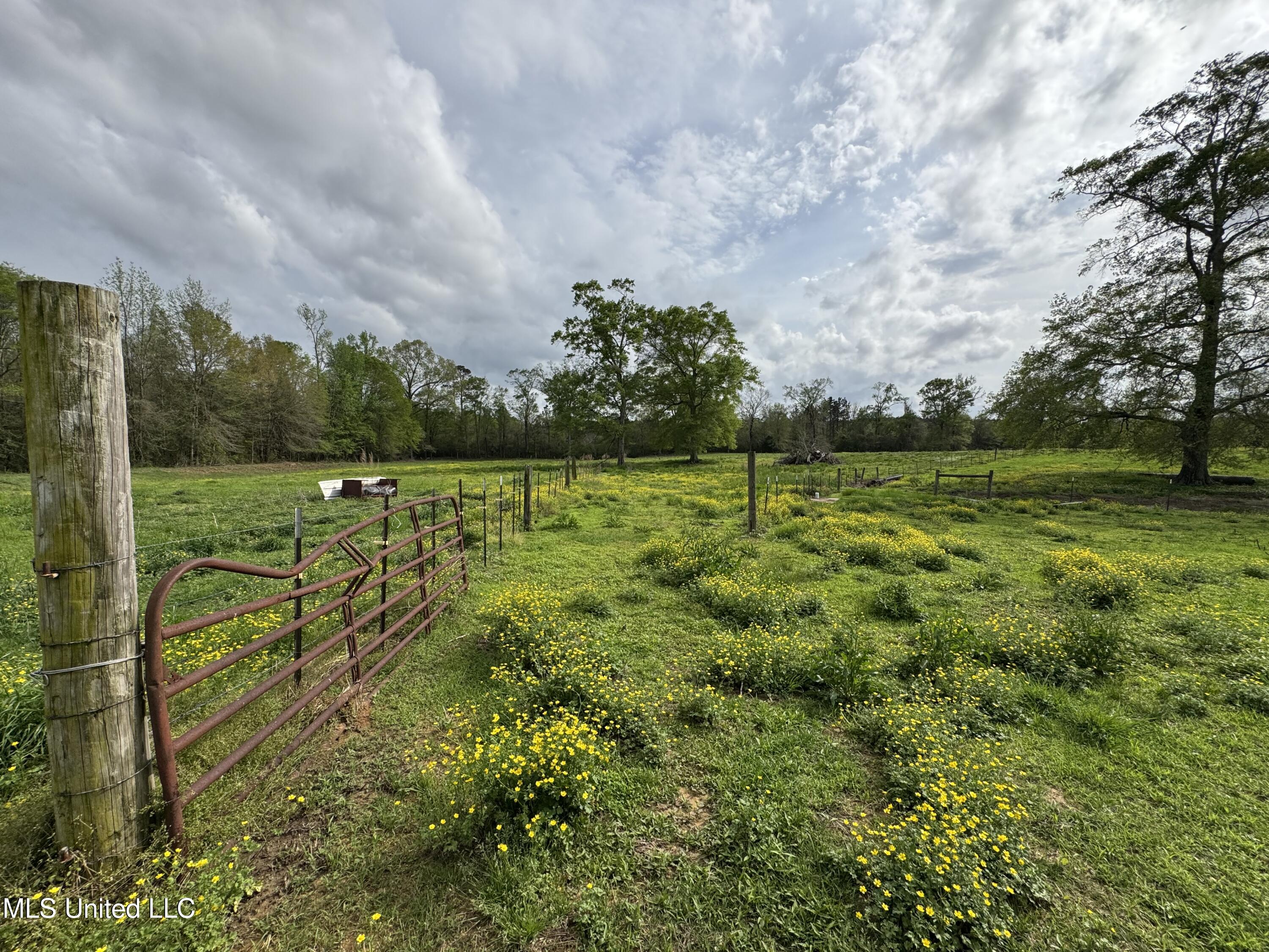 2509 Bogue Chitto Road Property Photo 26