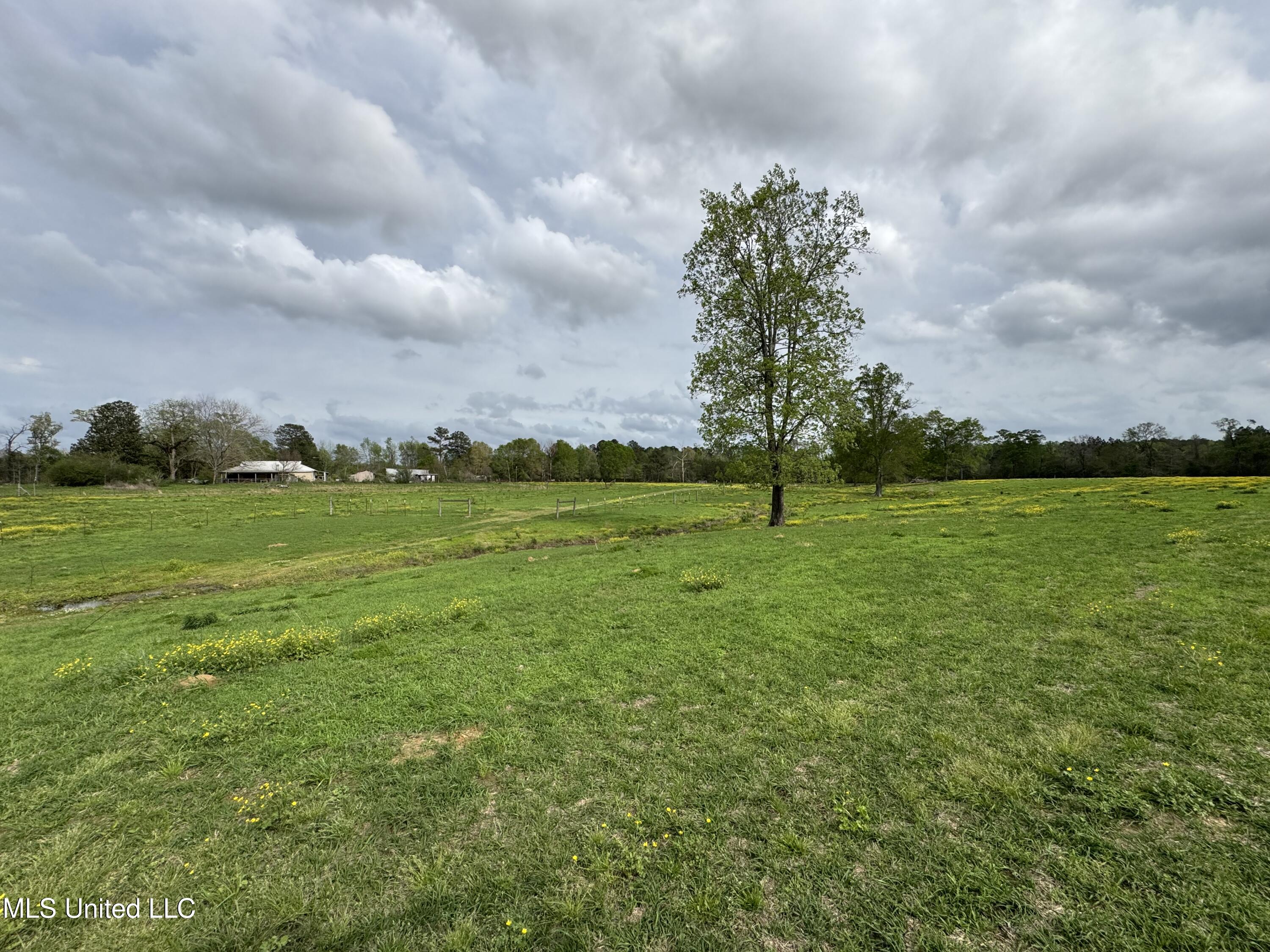 2509 Bogue Chitto Road Property Photo 27