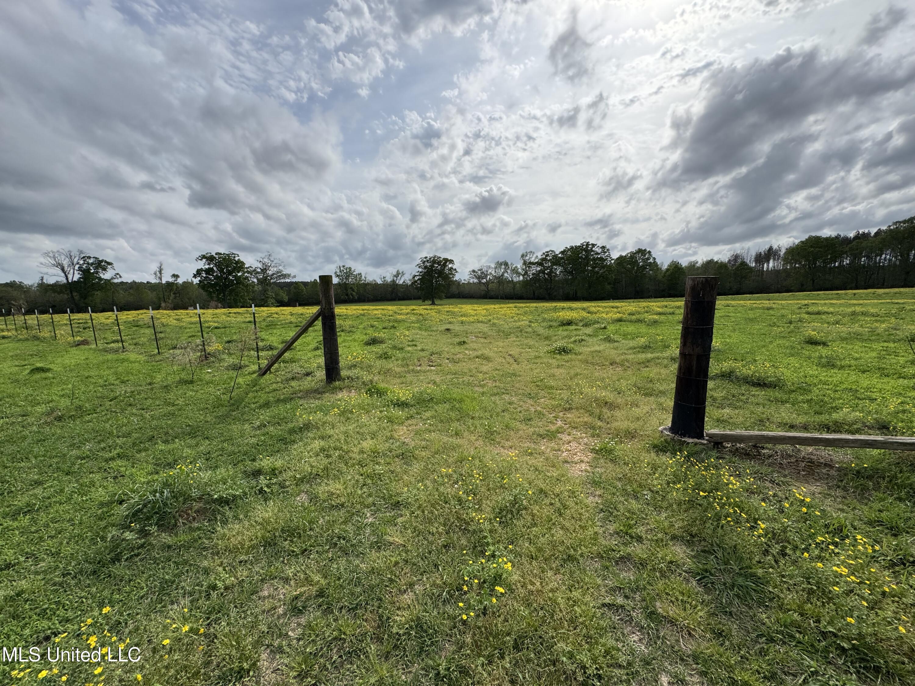 2509 Bogue Chitto Road Property Photo 28