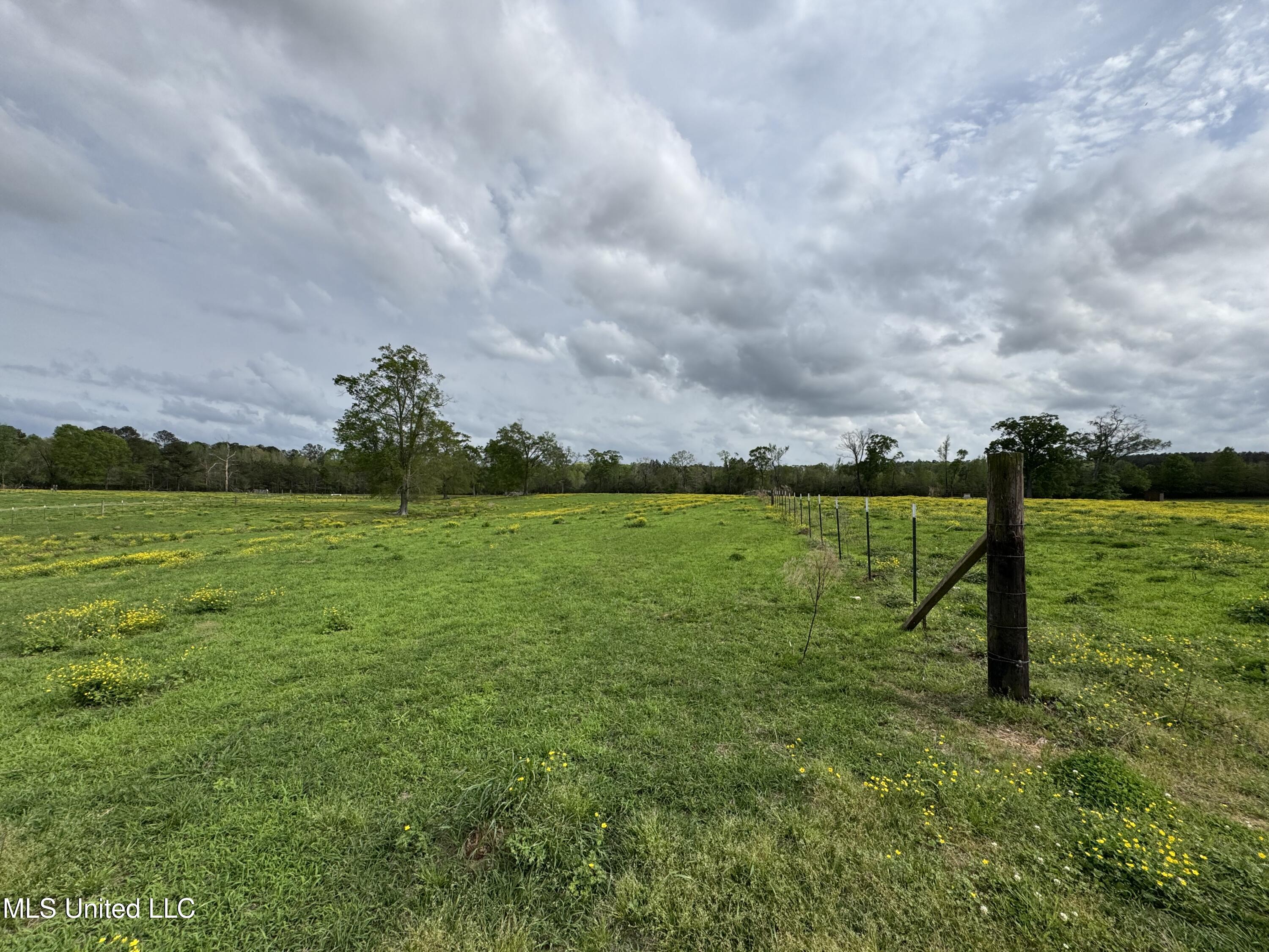 2509 Bogue Chitto Road Property Photo 29