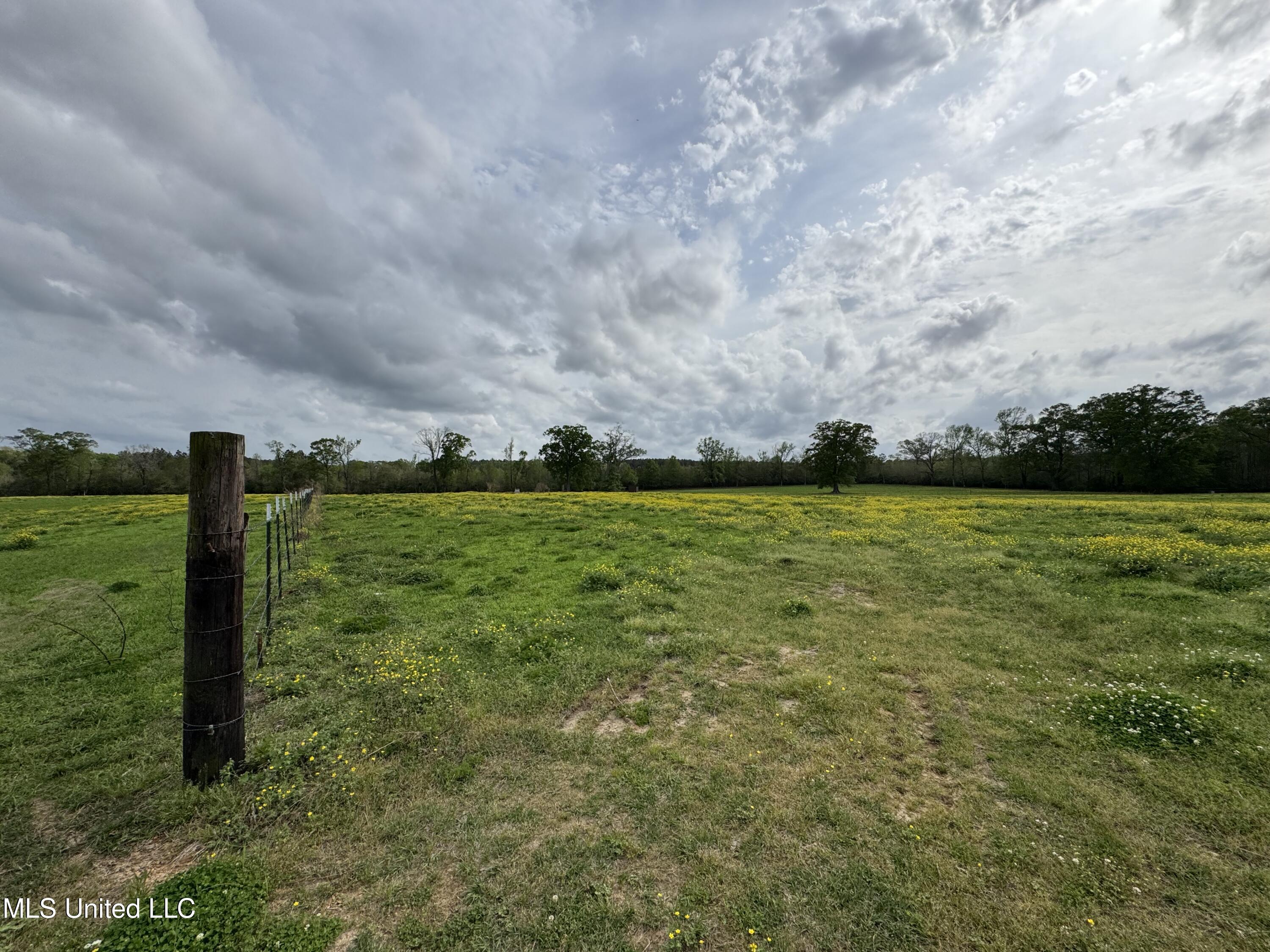 2509 Bogue Chitto Road Property Photo 30