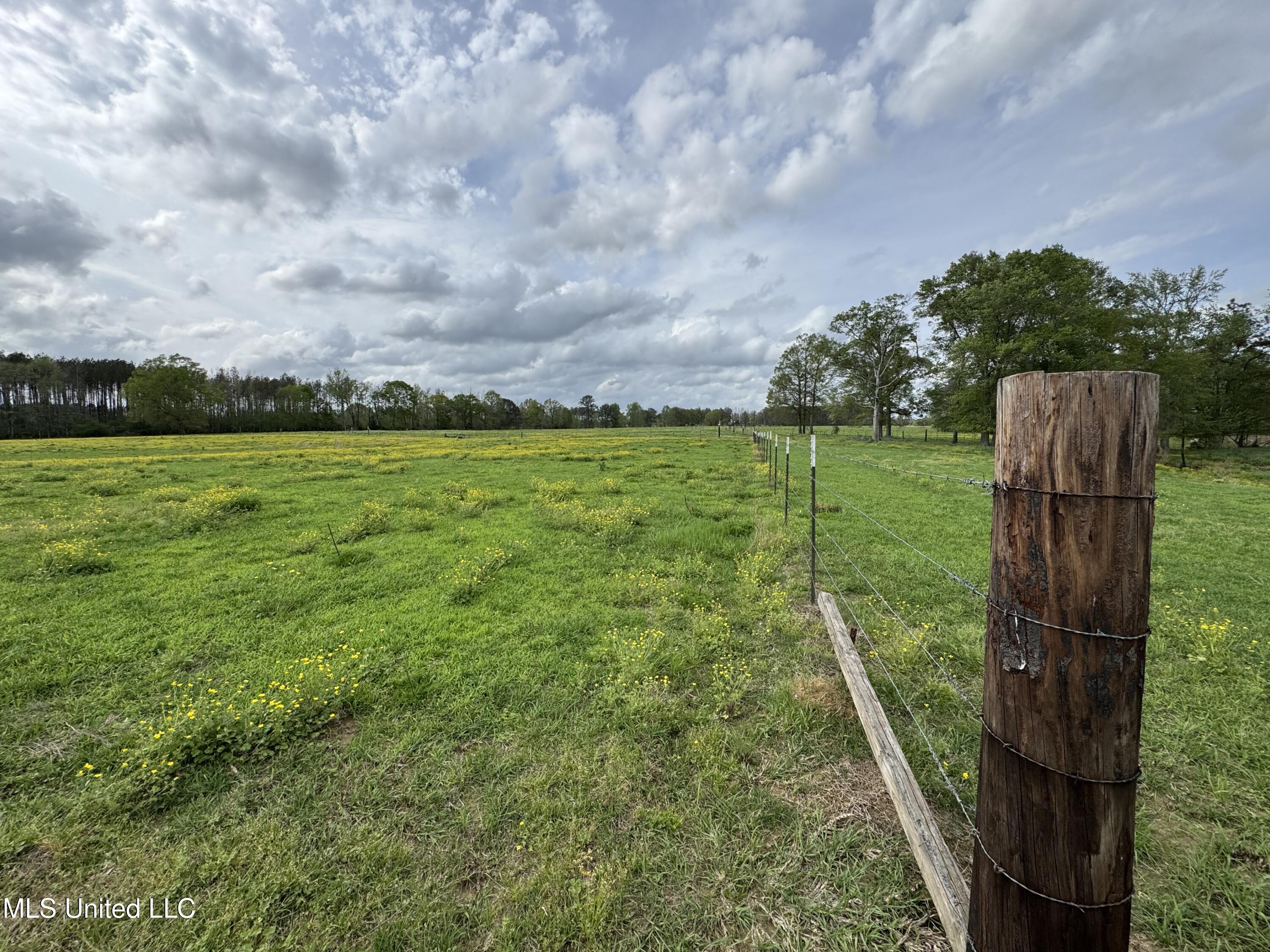 2509 Bogue Chitto Road Property Photo 31