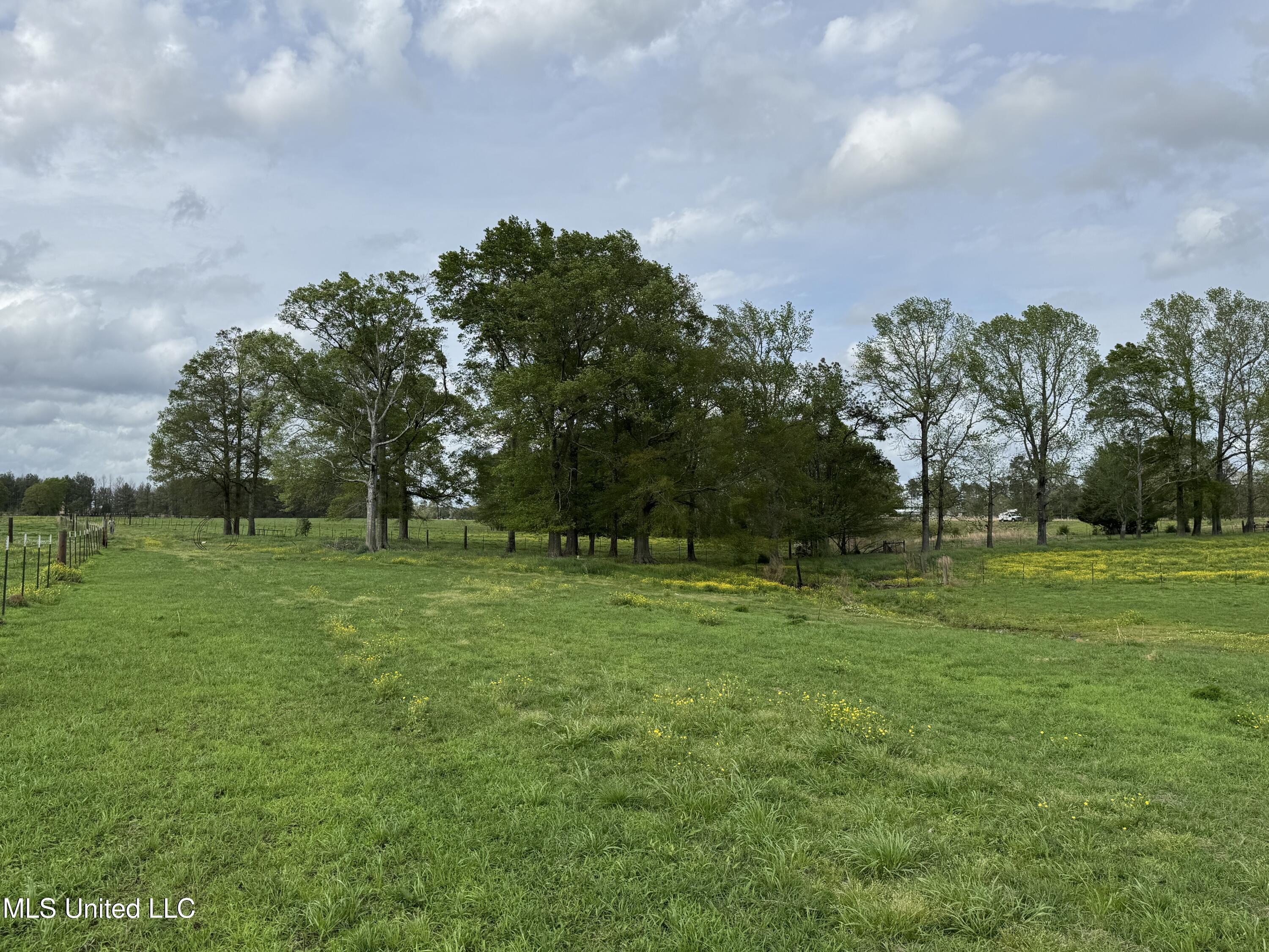 2509 Bogue Chitto Road Property Photo 32