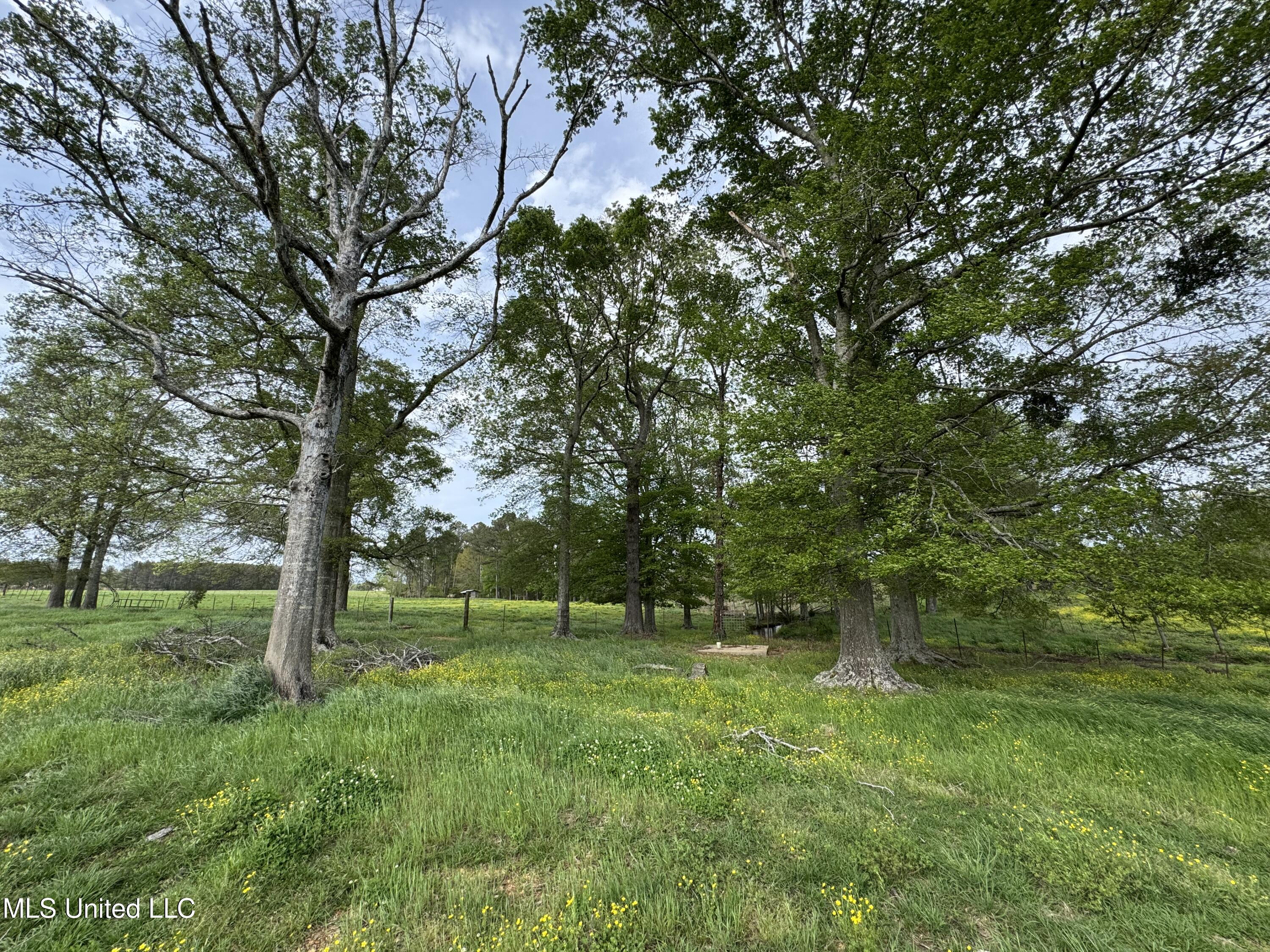 2509 Bogue Chitto Road Property Photo 33