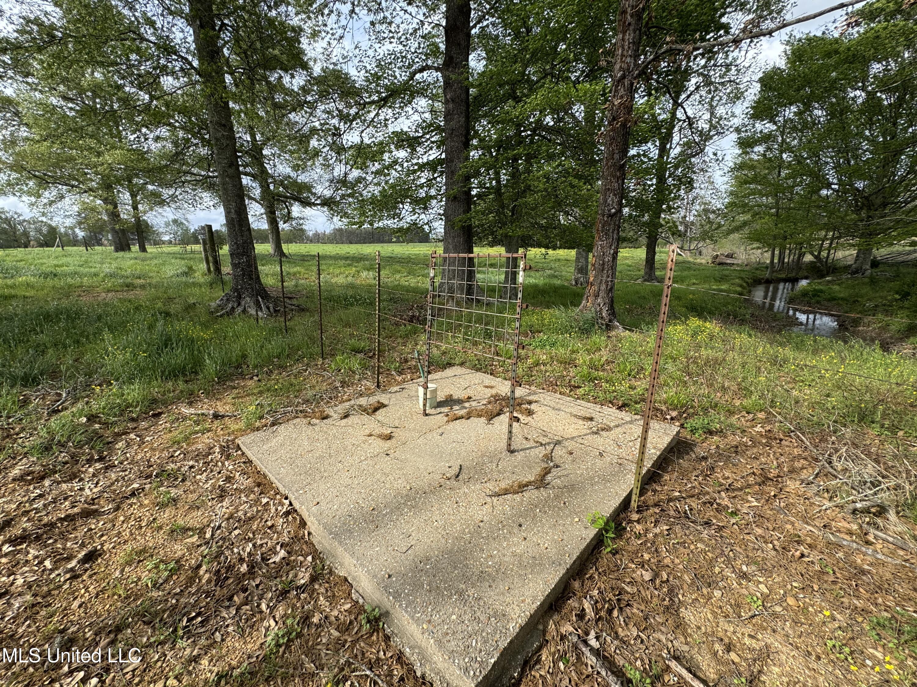 2509 Bogue Chitto Road Property Photo 34
