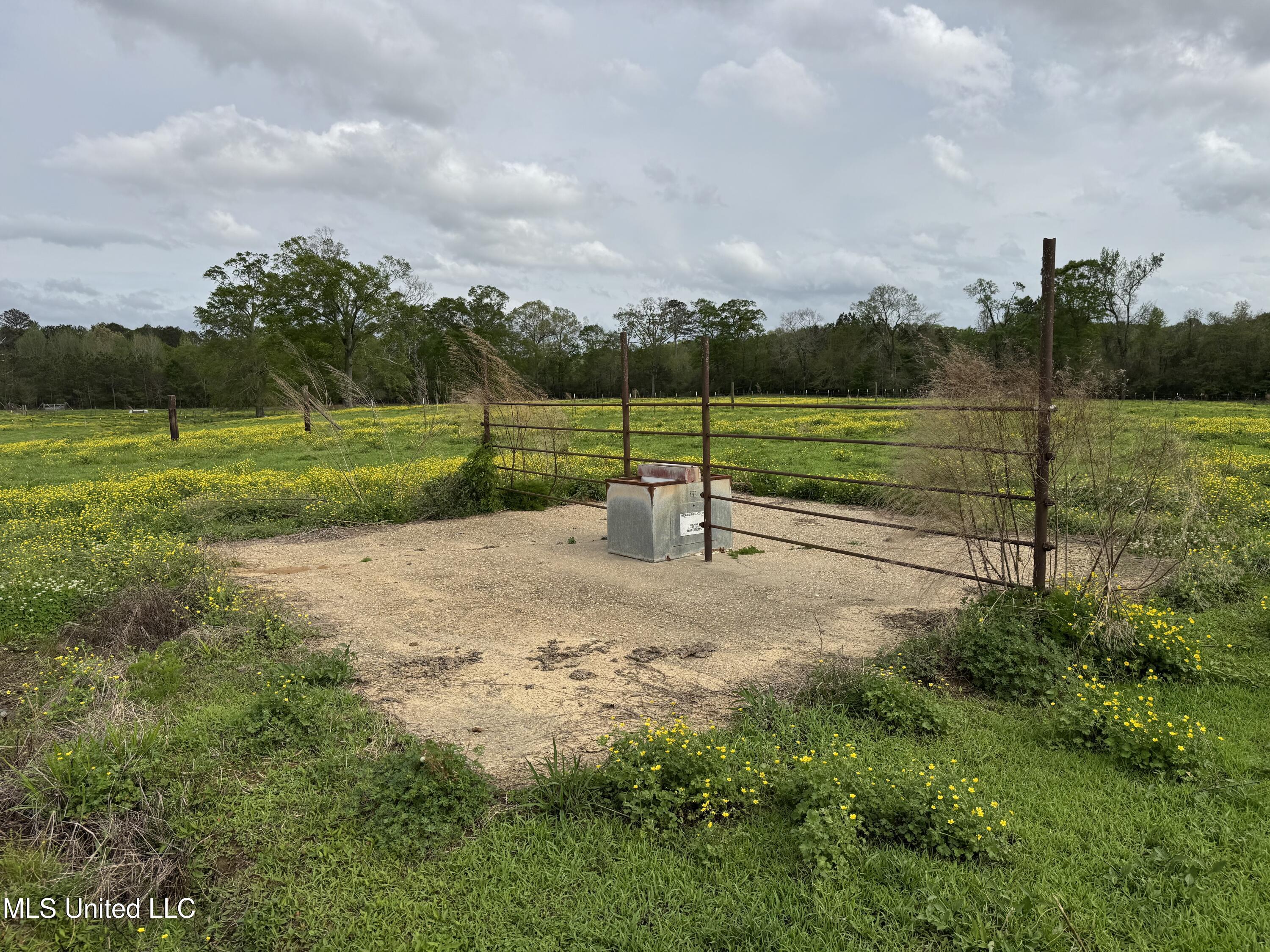 2509 Bogue Chitto Road Property Photo 36