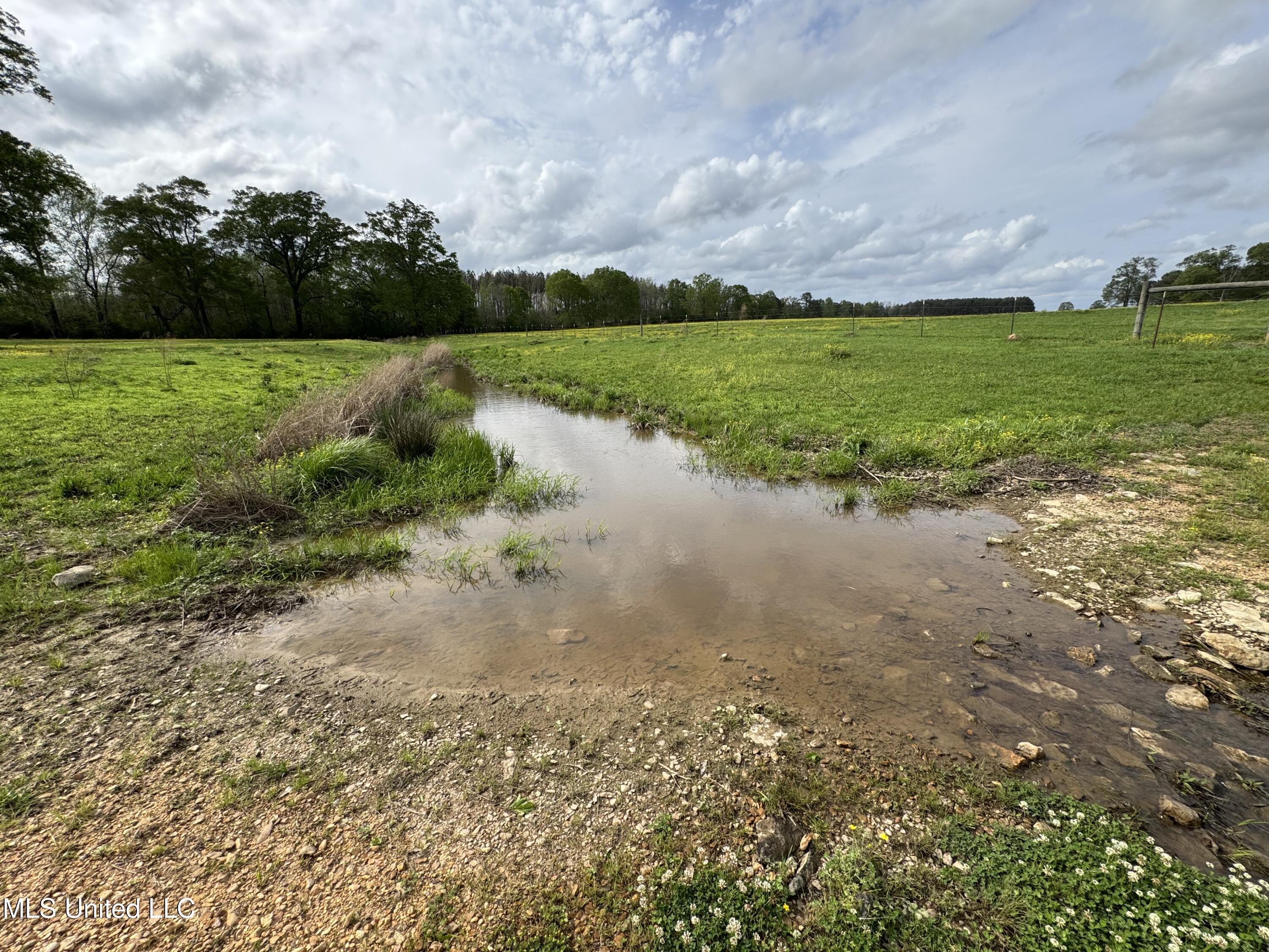 2509 Bogue Chitto Road Property Photo 37