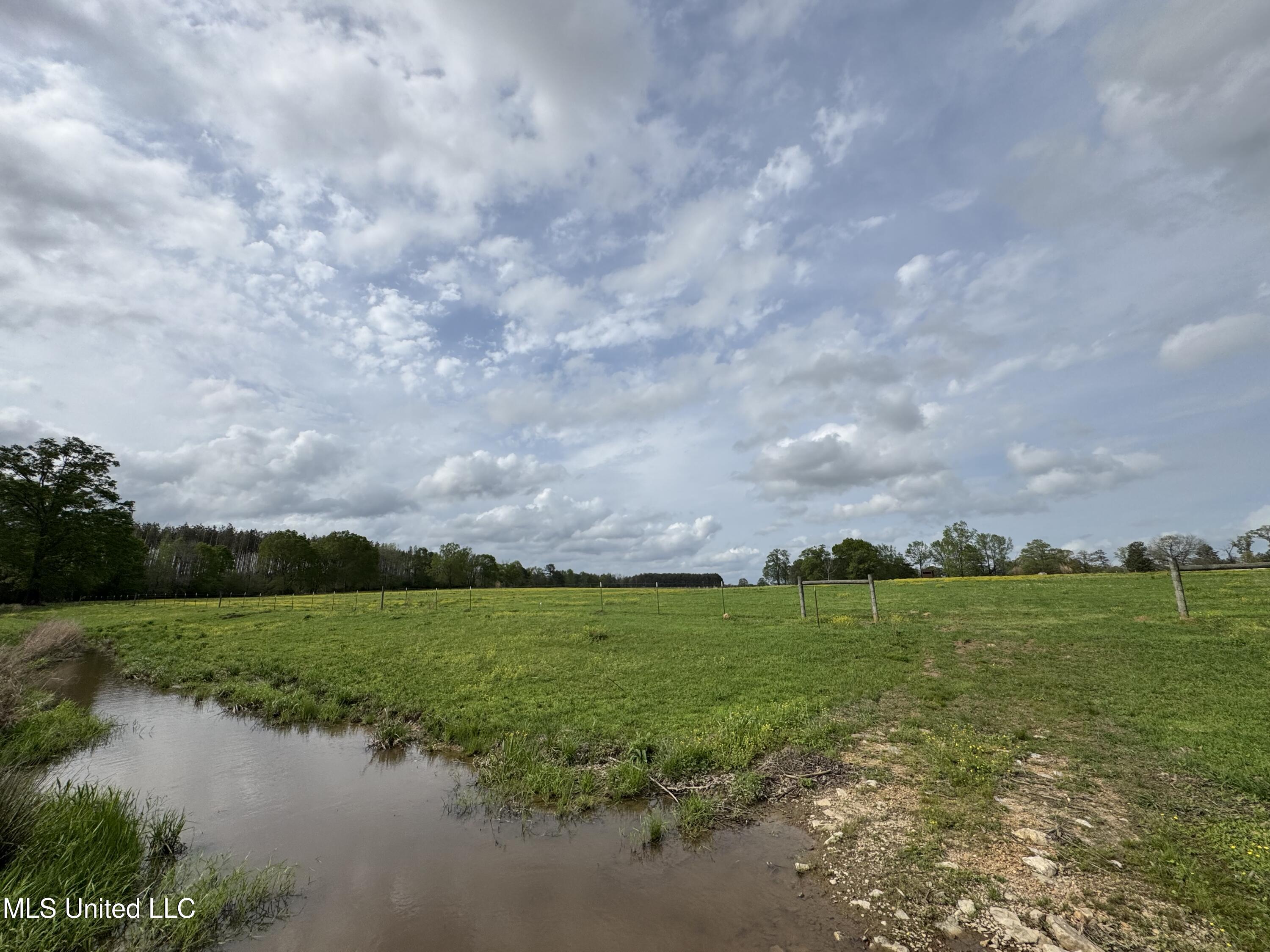 2509 Bogue Chitto Road Property Photo 38