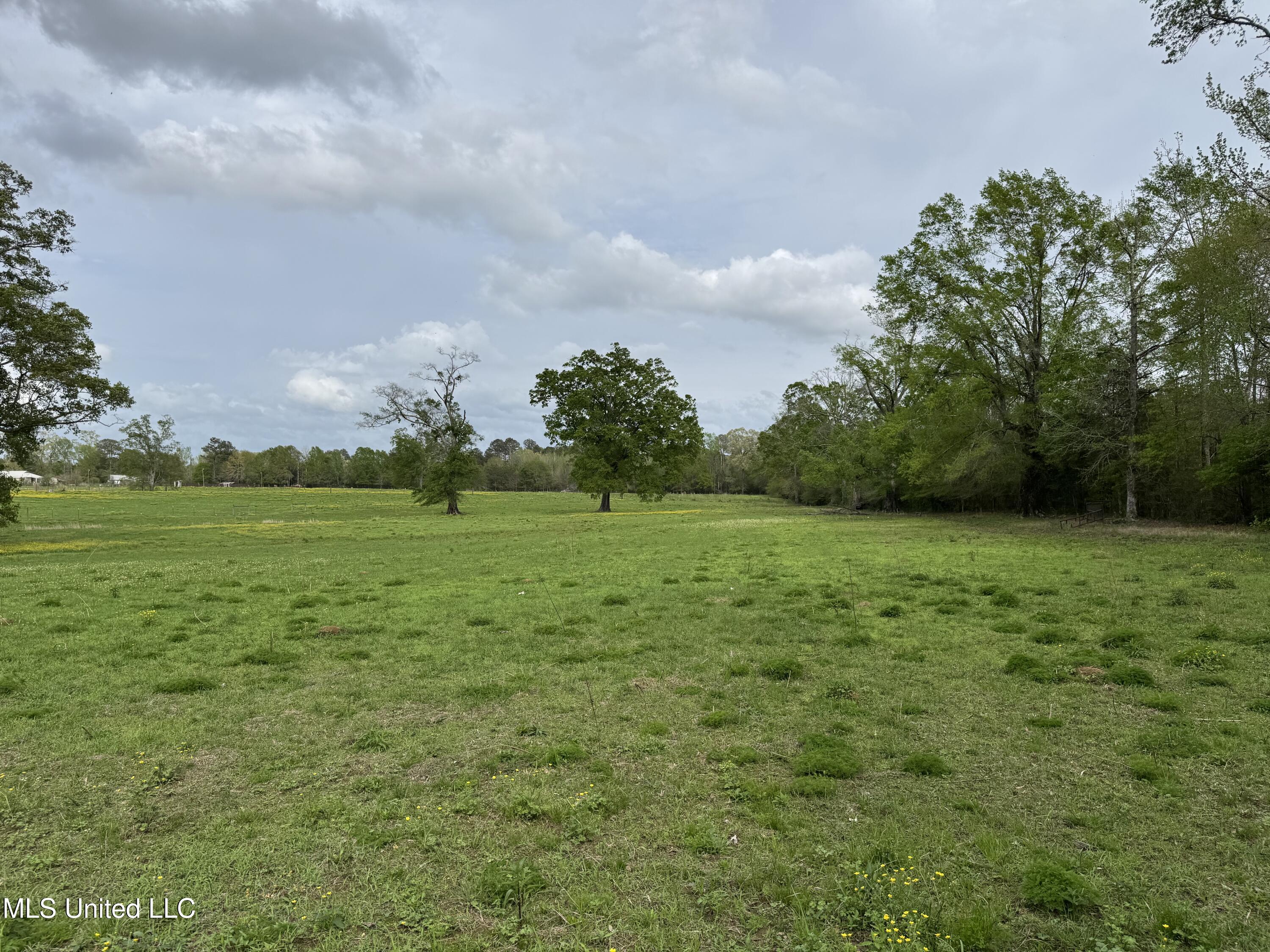 2509 Bogue Chitto Road Property Photo 39