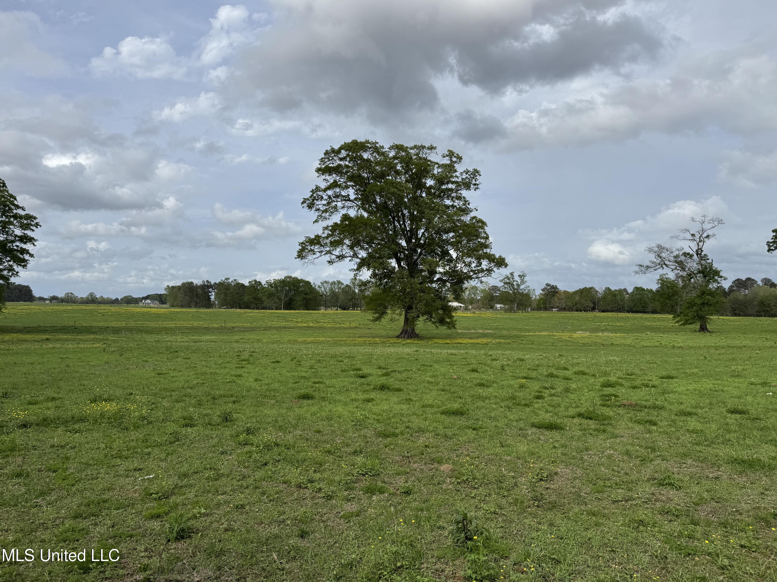 2509 Bogue Chitto Road Property Photo 40