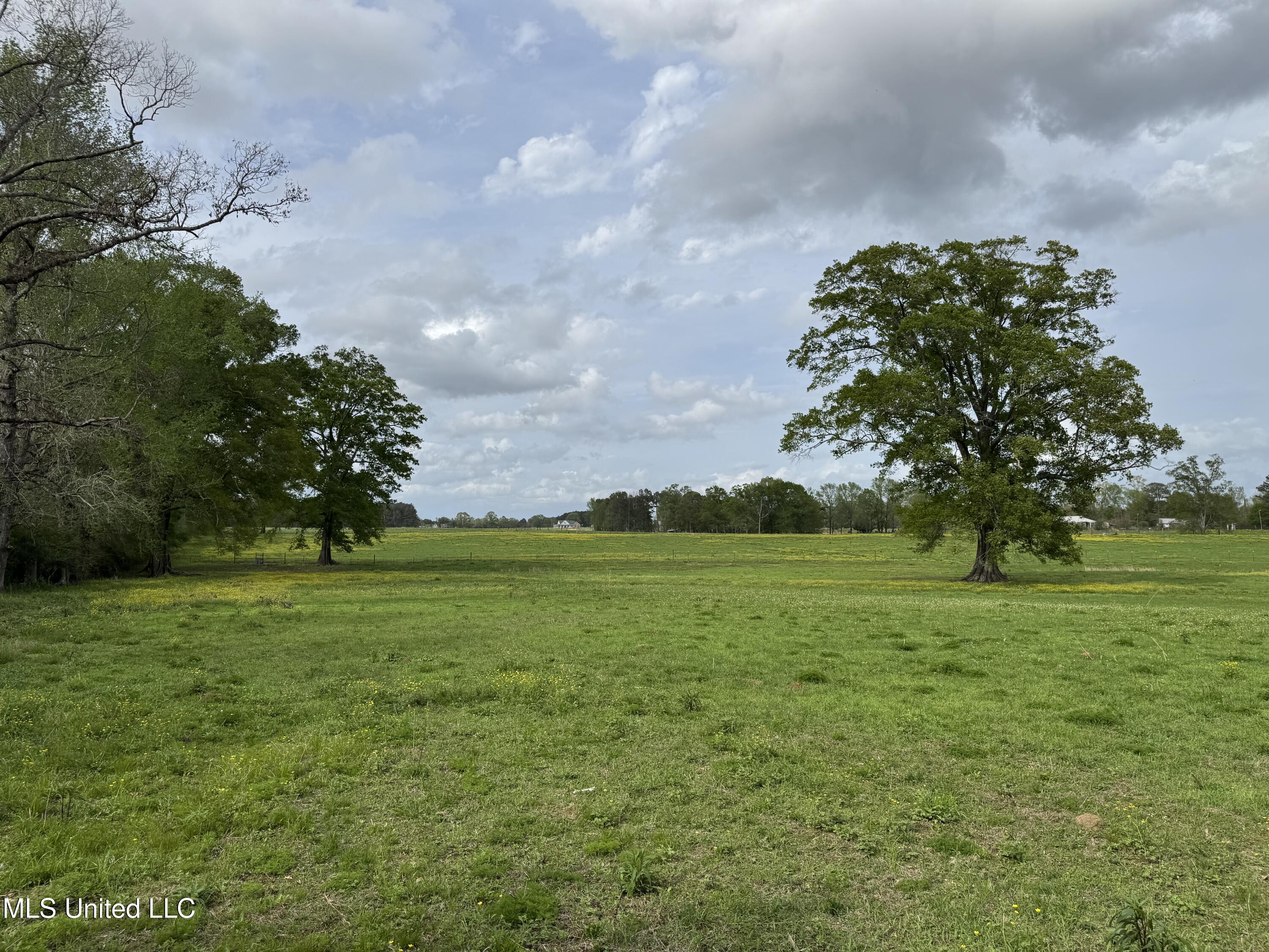 2509 Bogue Chitto Road Property Photo 41