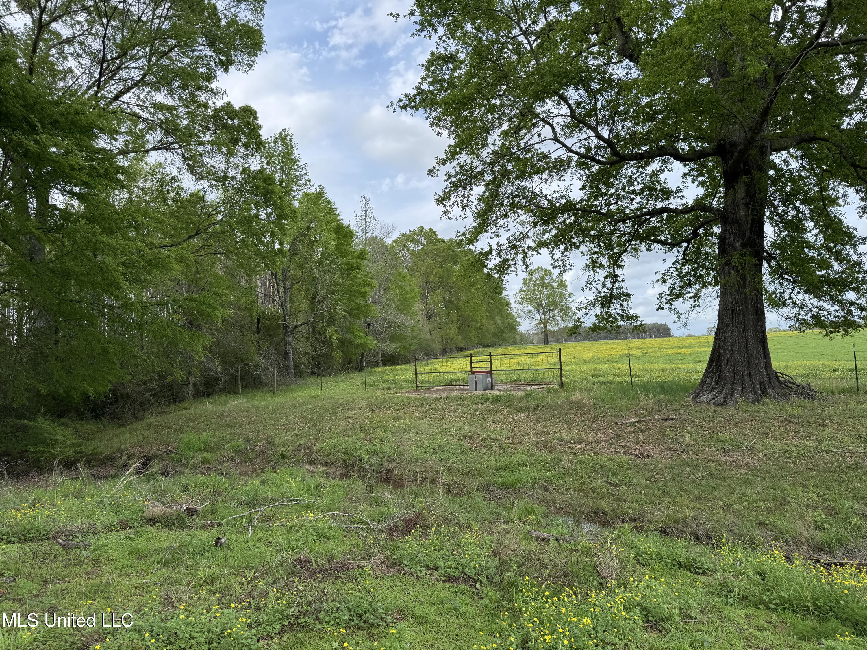2509 Bogue Chitto Road Property Photo 42