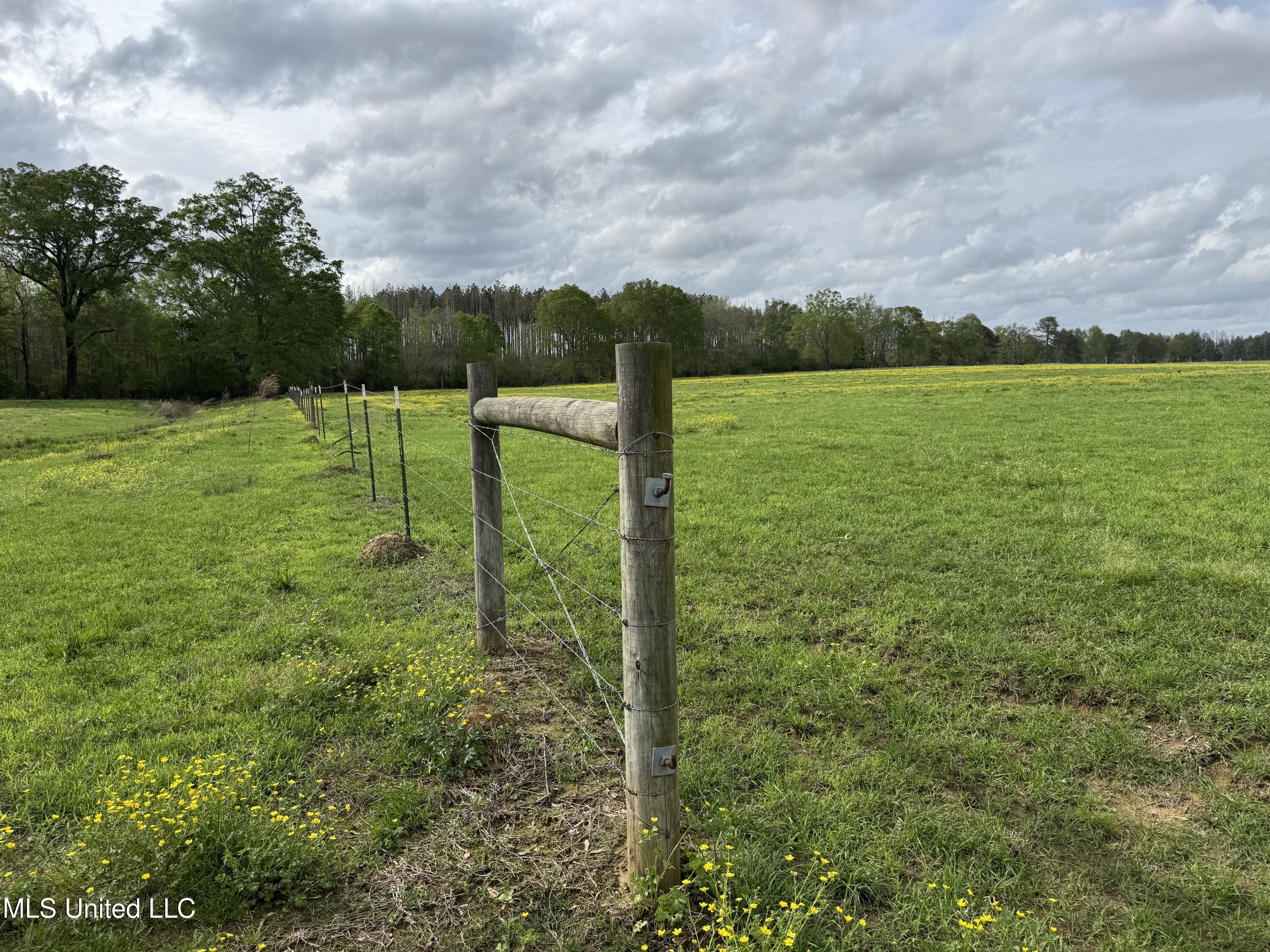 2509 Bogue Chitto Road Property Photo 43