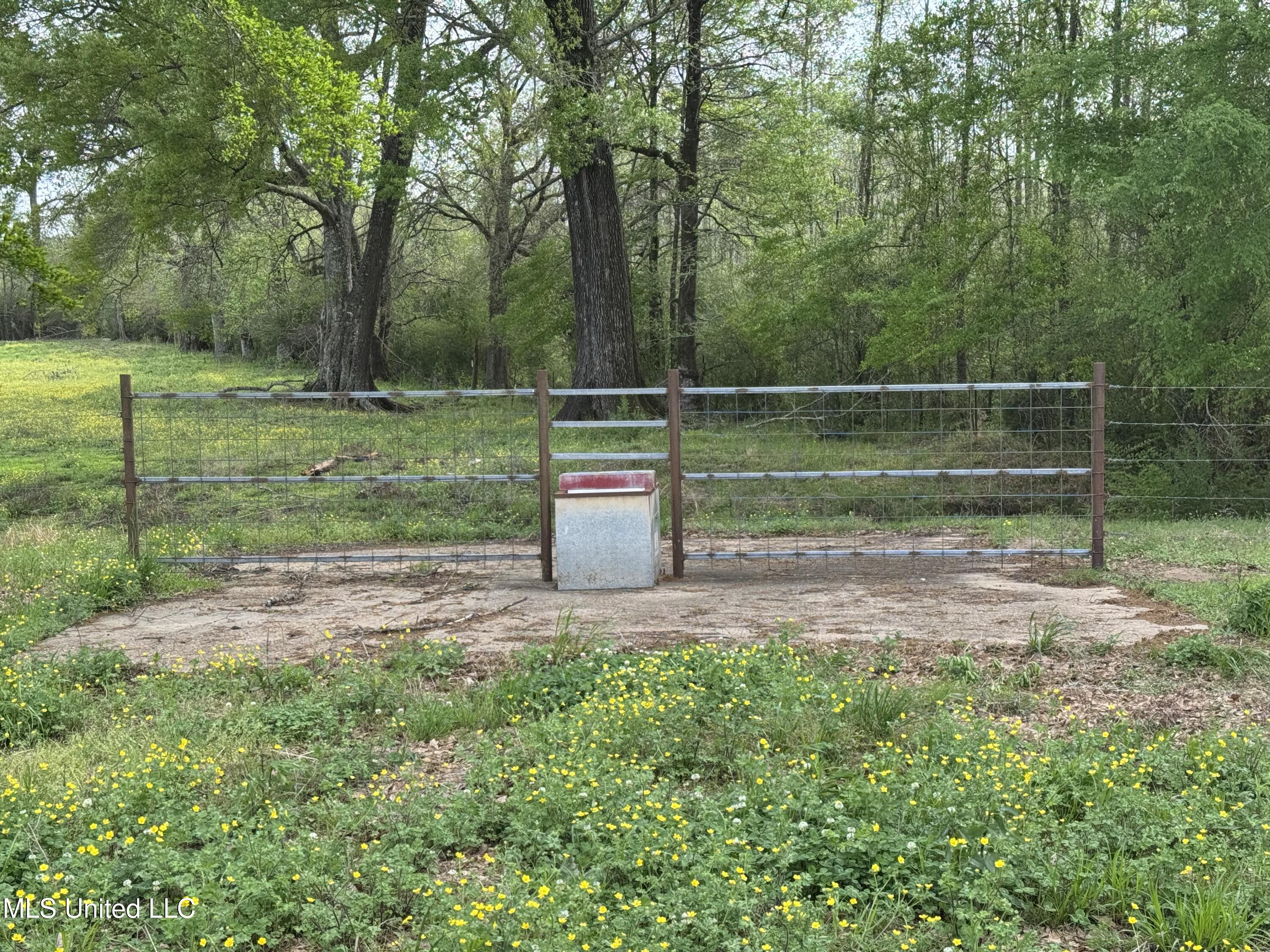 2509 Bogue Chitto Road Property Photo 44