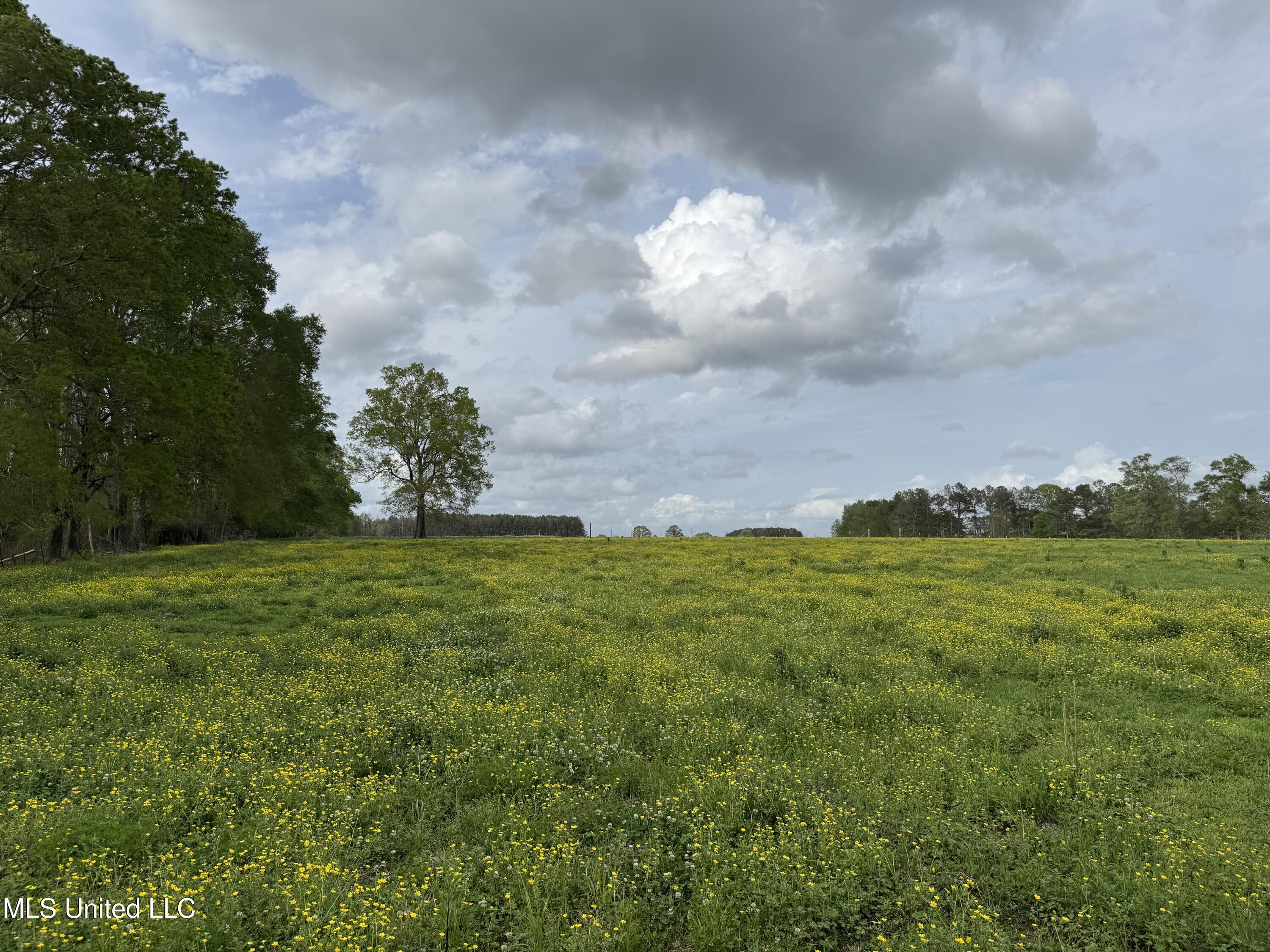 2509 Bogue Chitto Road Property Photo 45