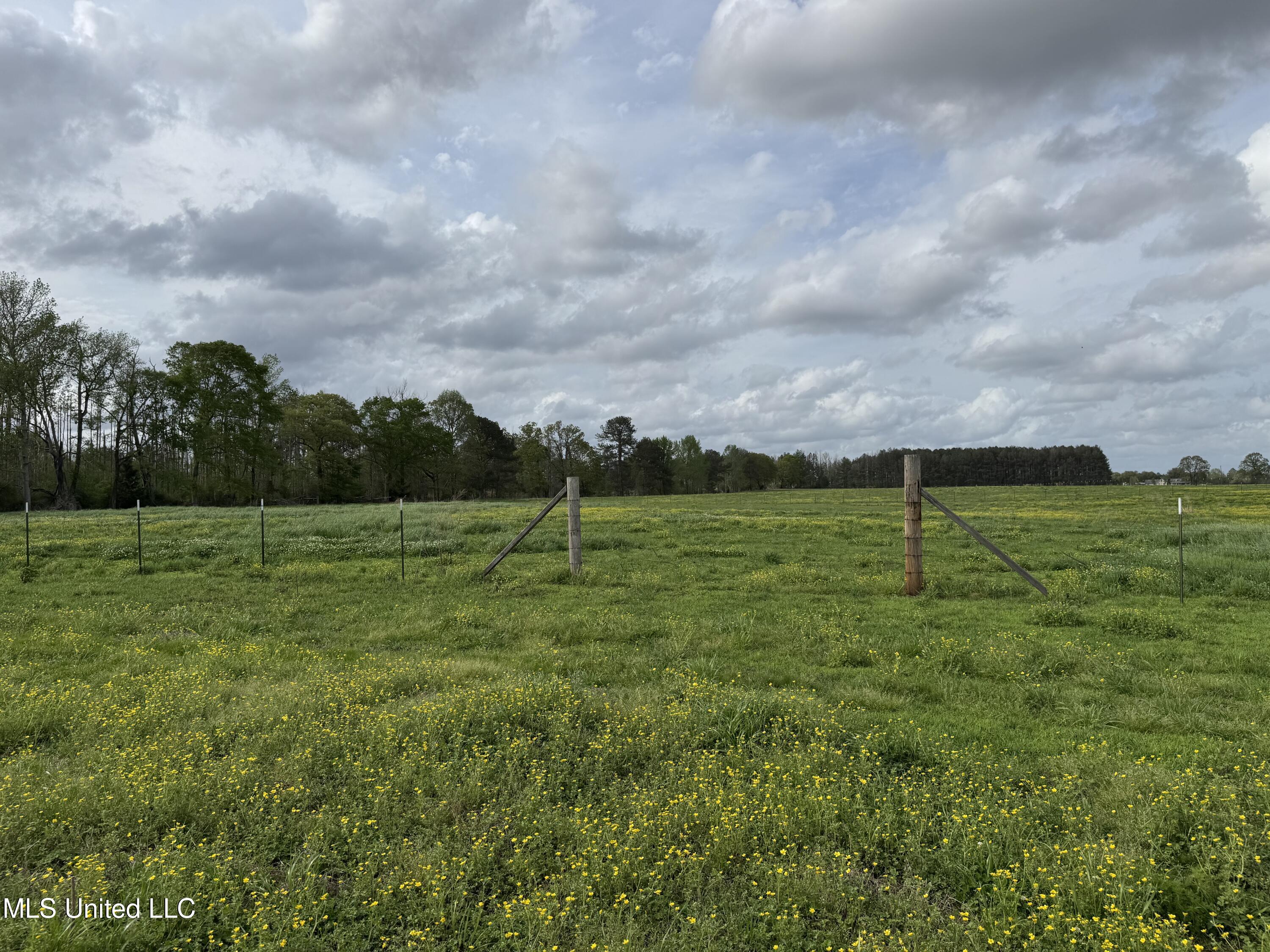 2509 Bogue Chitto Road Property Photo 46
