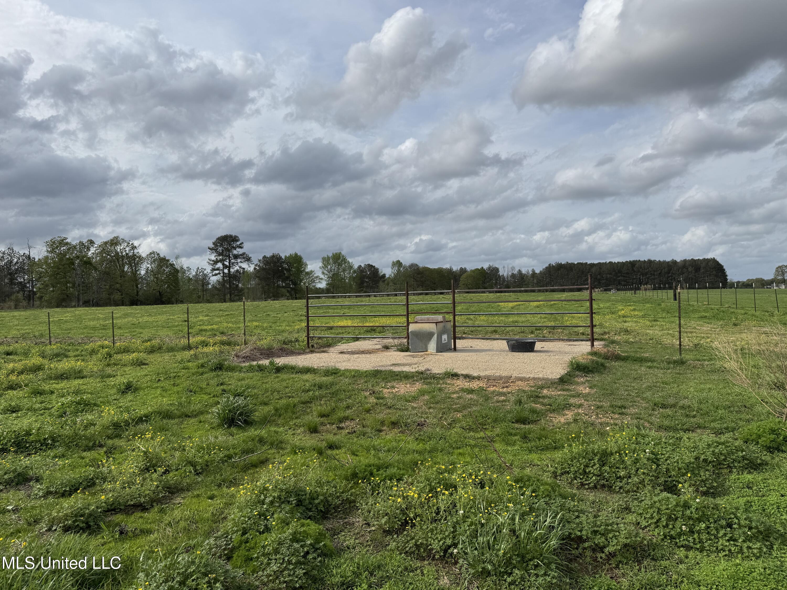 2509 Bogue Chitto Road Property Photo 47