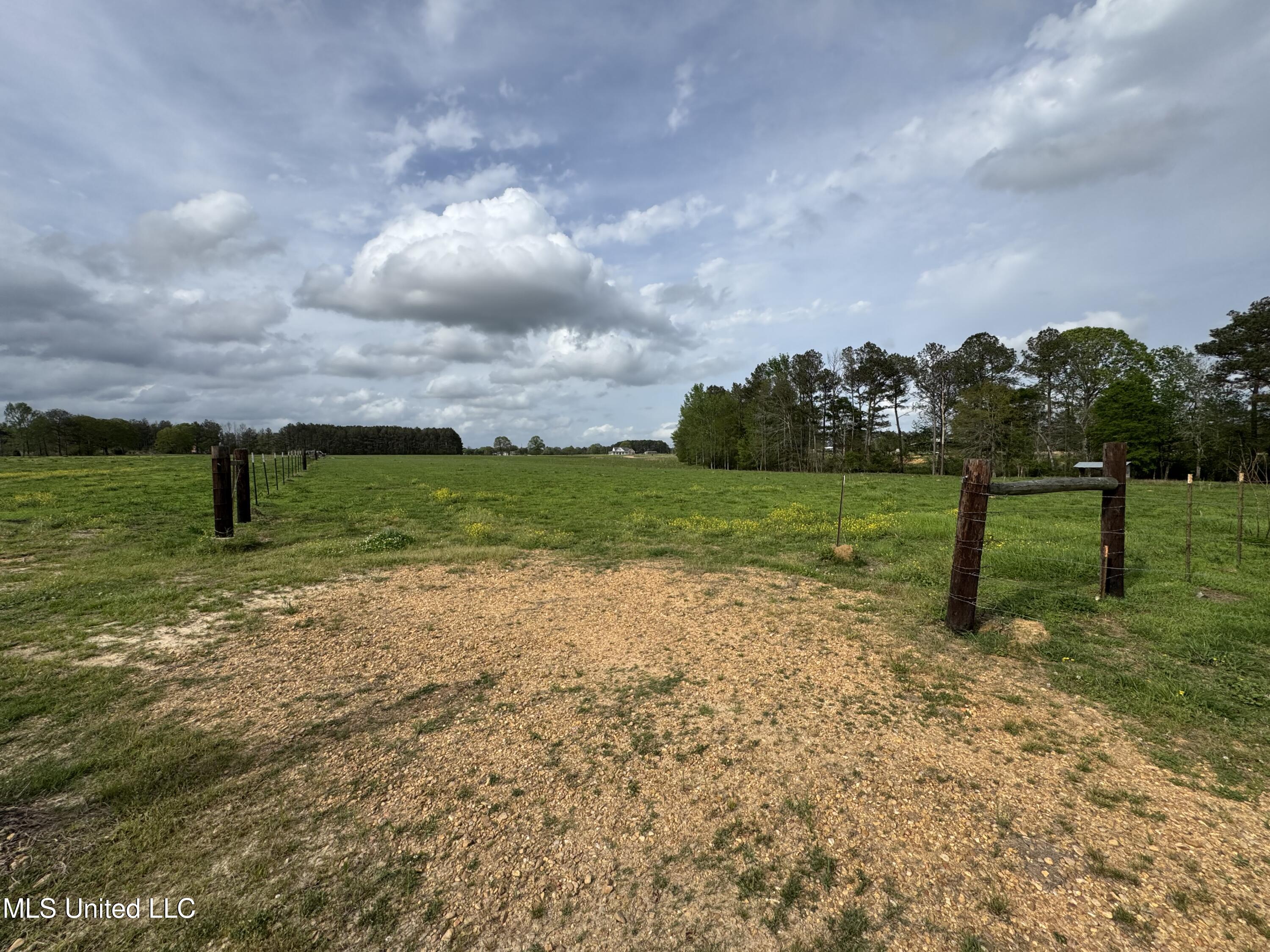 2509 Bogue Chitto Road Property Photo 49