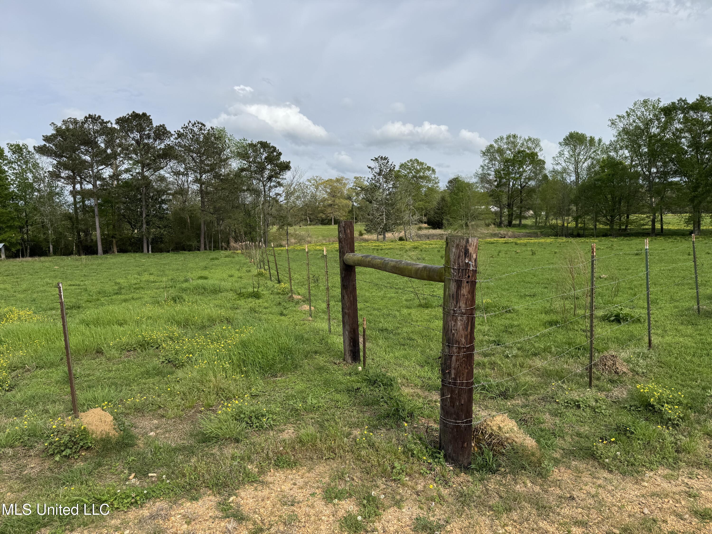 2509 Bogue Chitto Road Property Photo 50