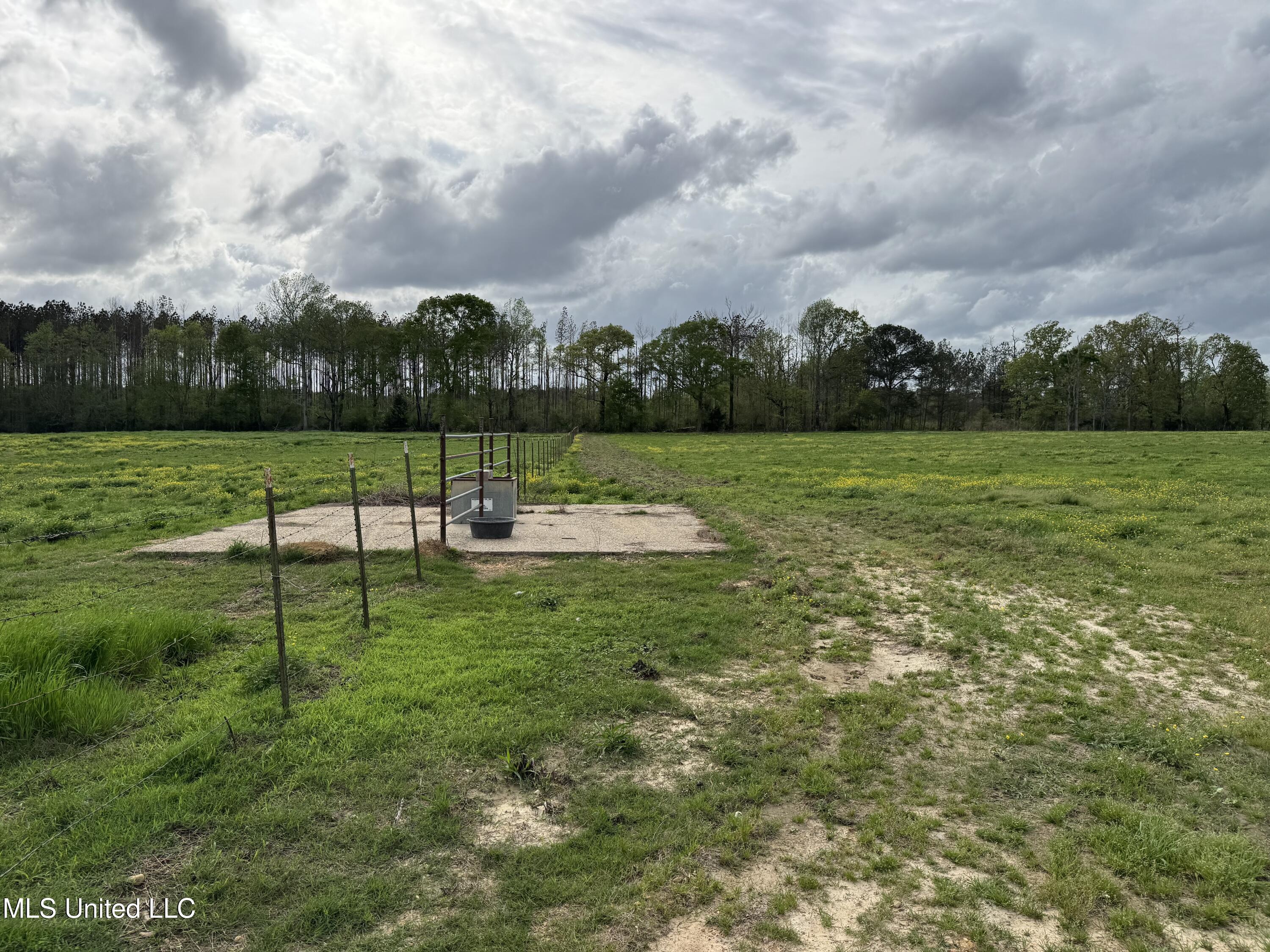 2509 Bogue Chitto Road Property Photo 52