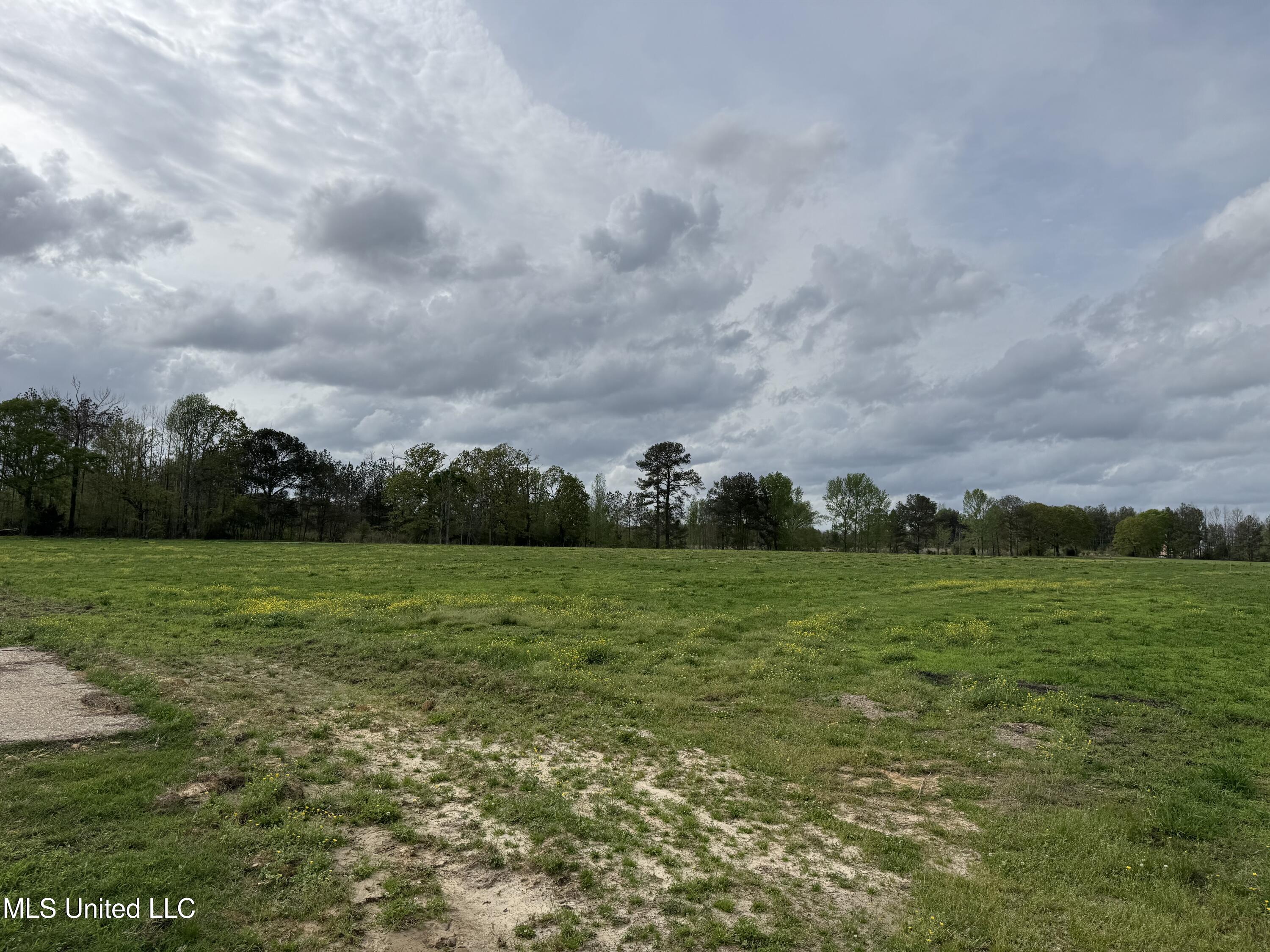 2509 Bogue Chitto Road Property Photo 53