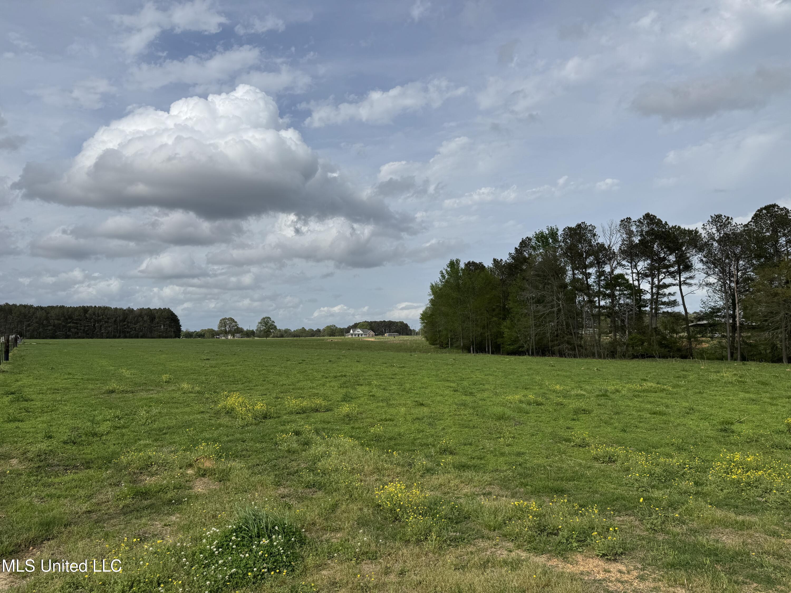 2509 Bogue Chitto Road Property Photo 54