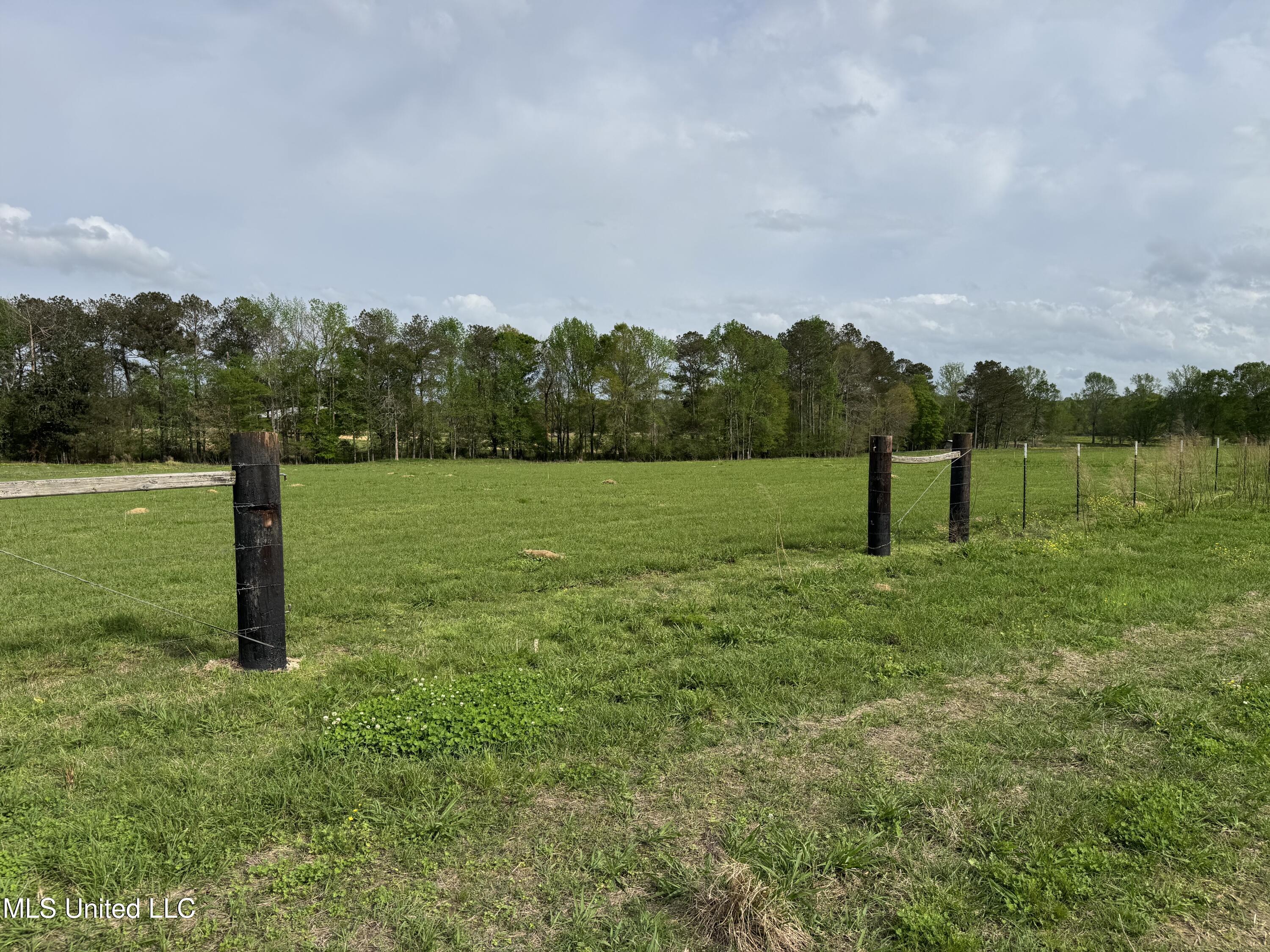 2509 Bogue Chitto Road Property Photo 56