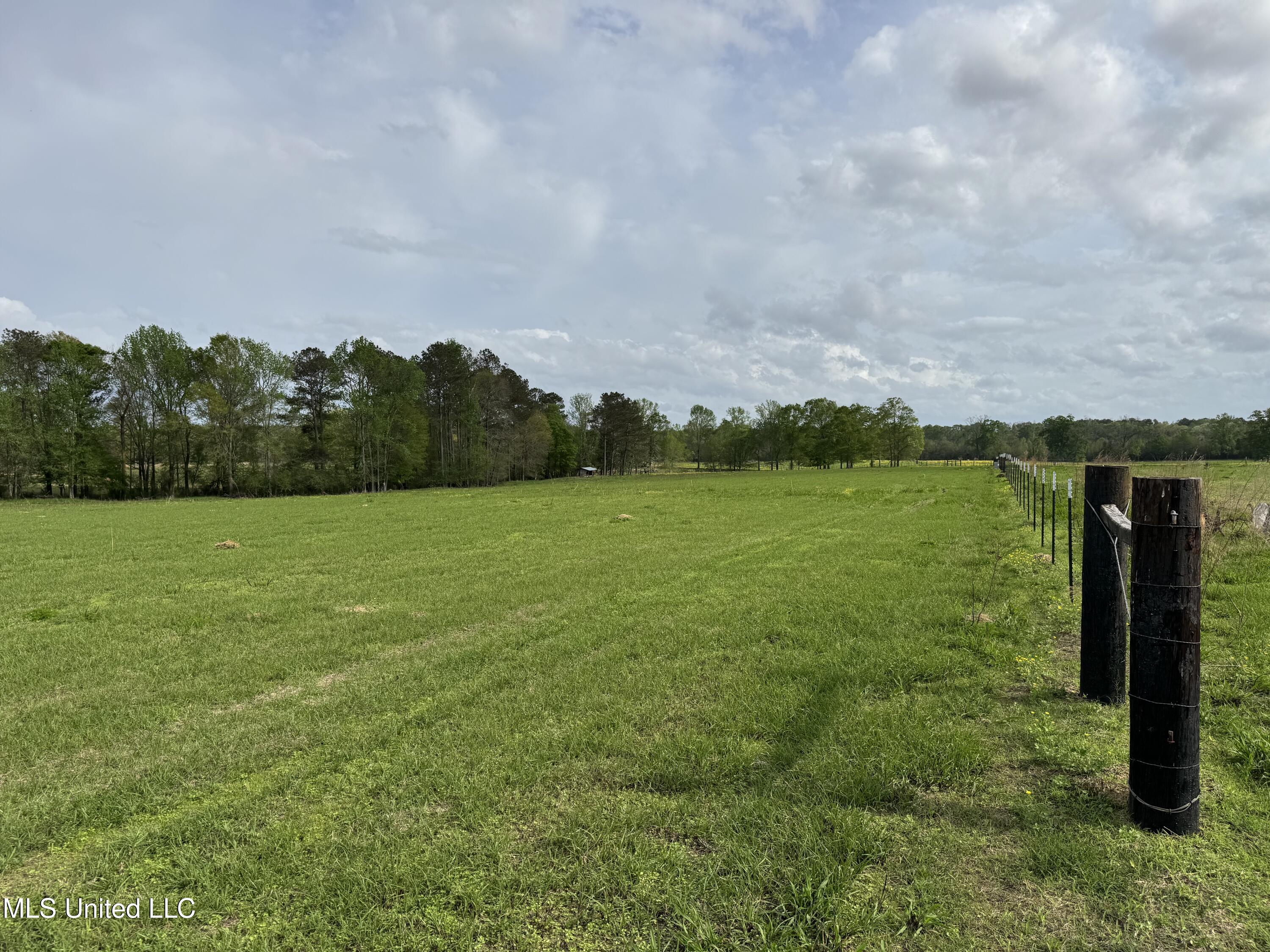 2509 Bogue Chitto Road Property Photo 57