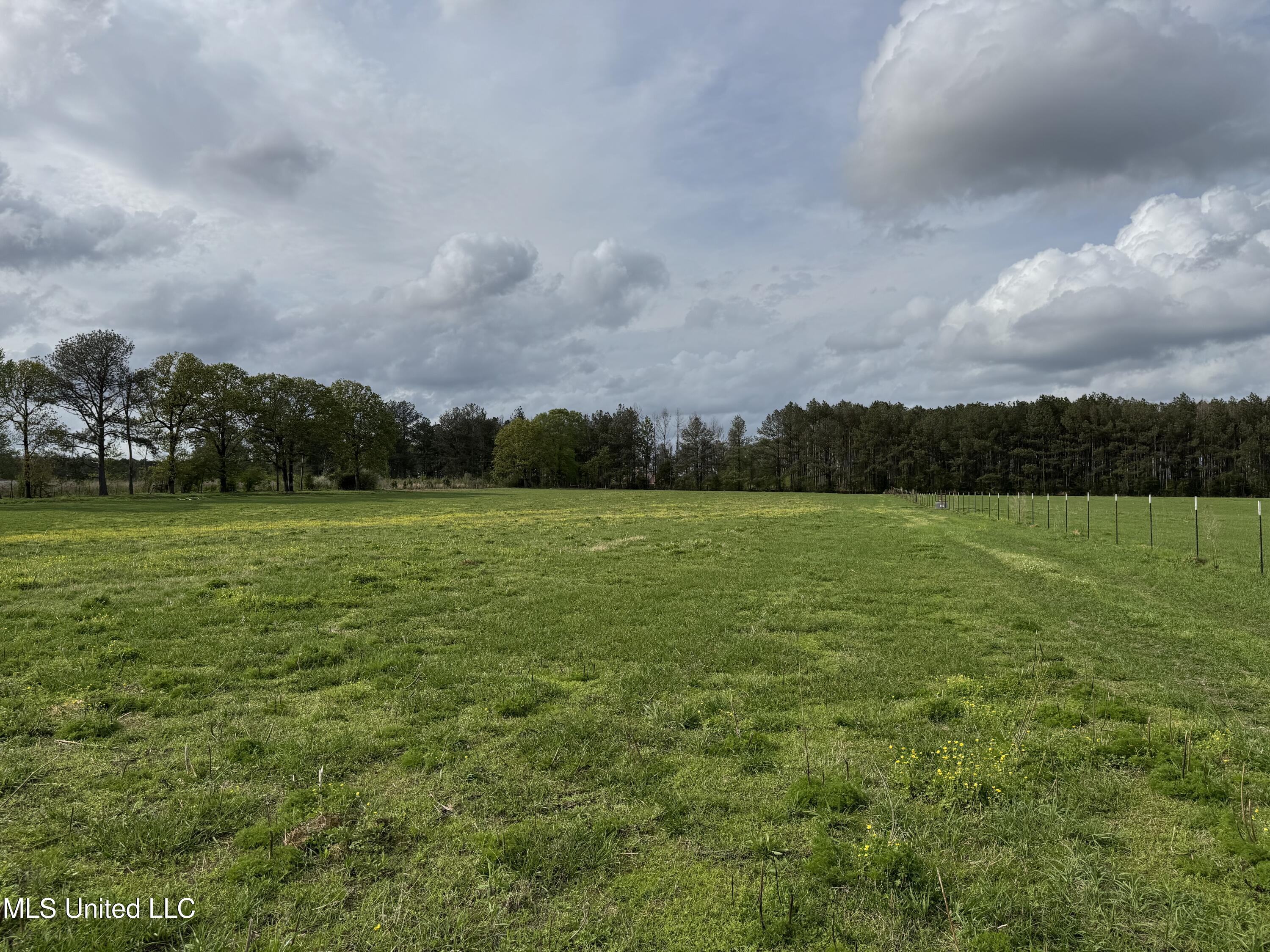 2509 Bogue Chitto Road Property Photo 59