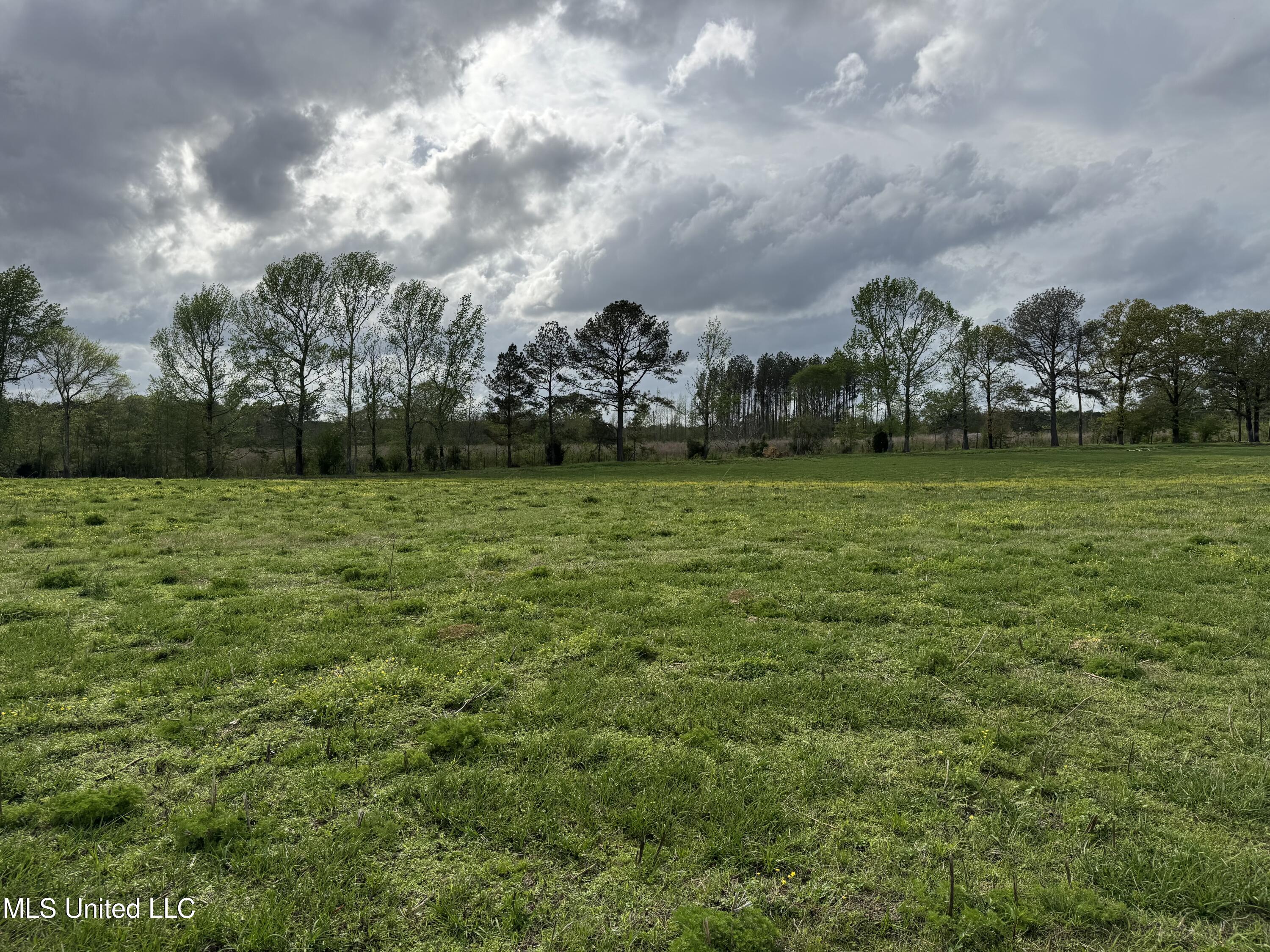 2509 Bogue Chitto Road Property Photo 60