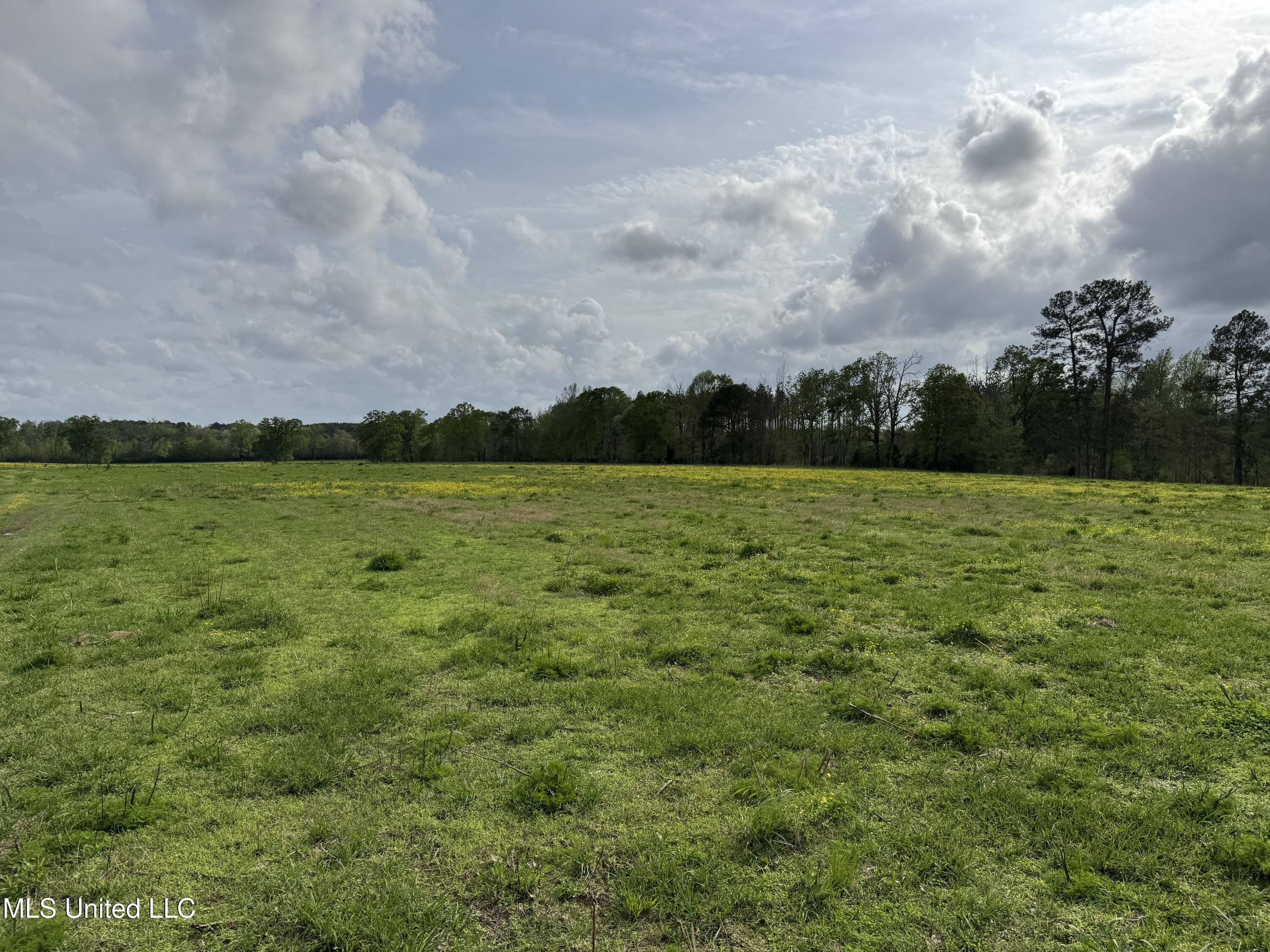 2509 Bogue Chitto Road Property Photo 61