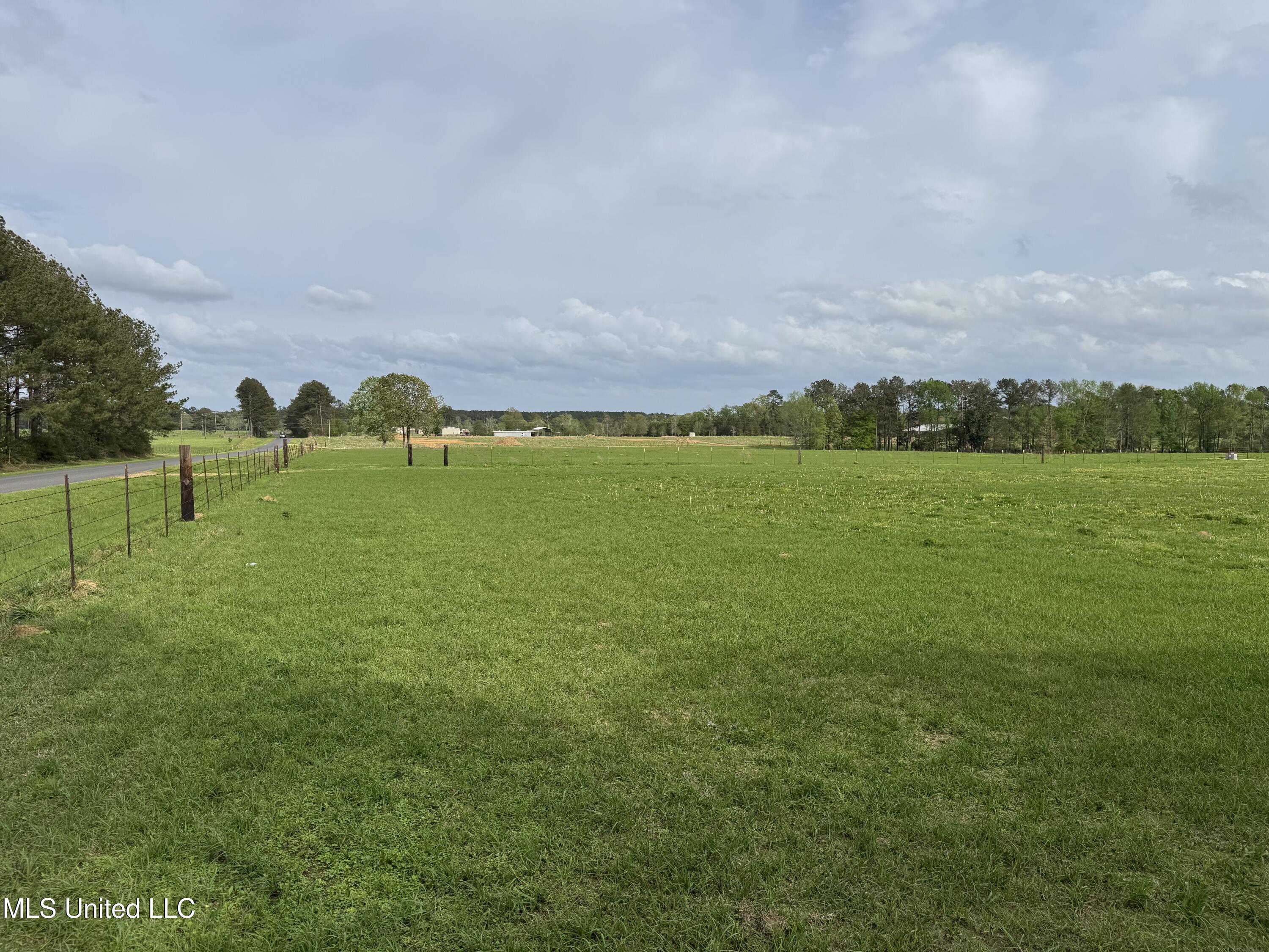 2509 Bogue Chitto Road Property Photo 64