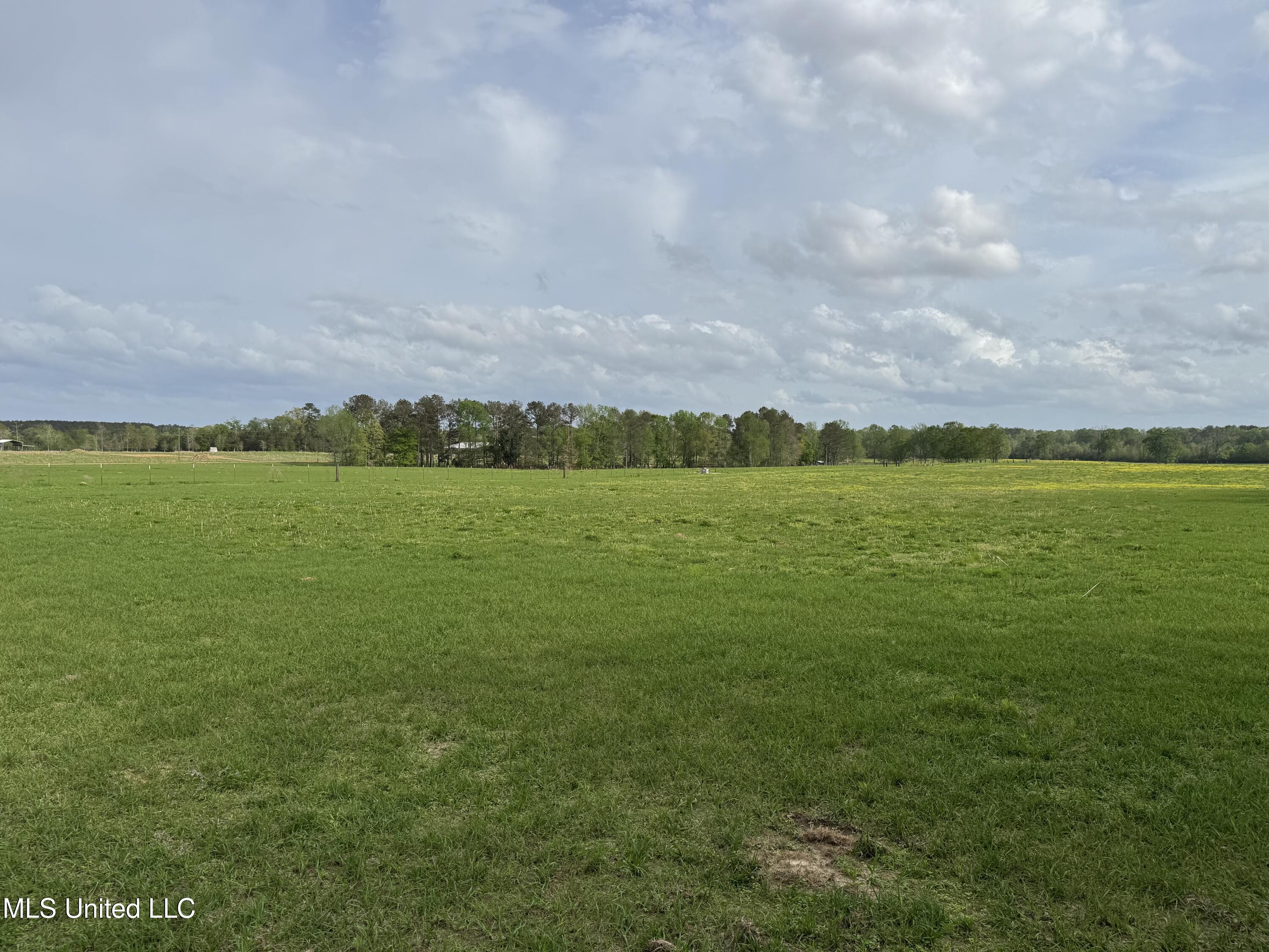 2509 Bogue Chitto Road Property Photo 65