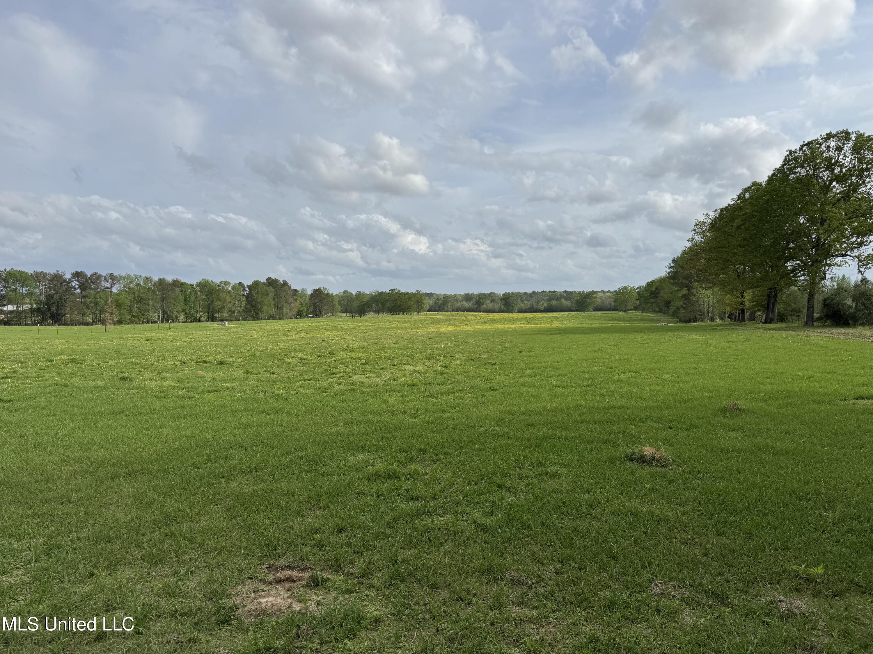 2509 Bogue Chitto Road Property Photo 66