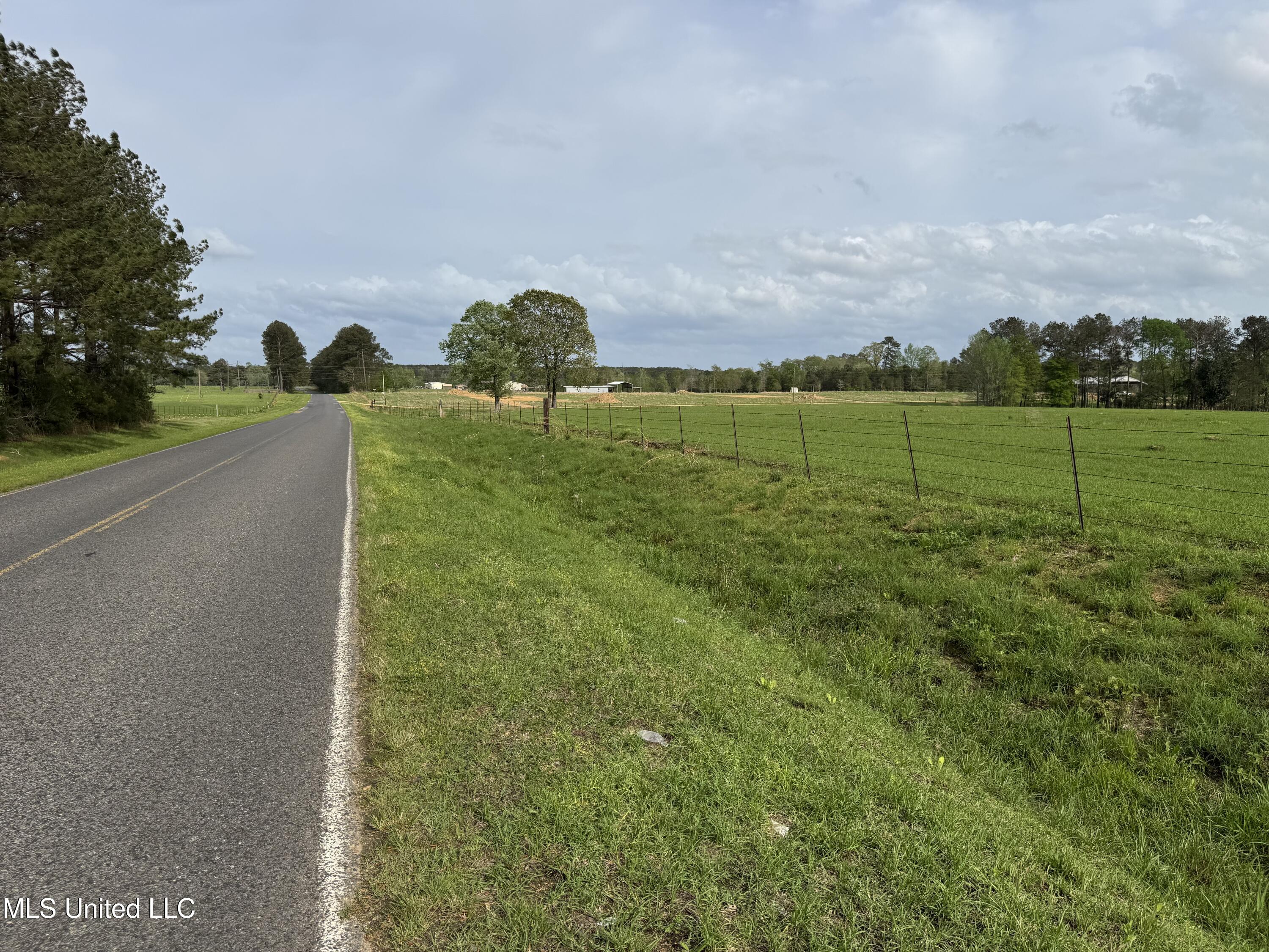 2509 Bogue Chitto Road Property Photo 67
