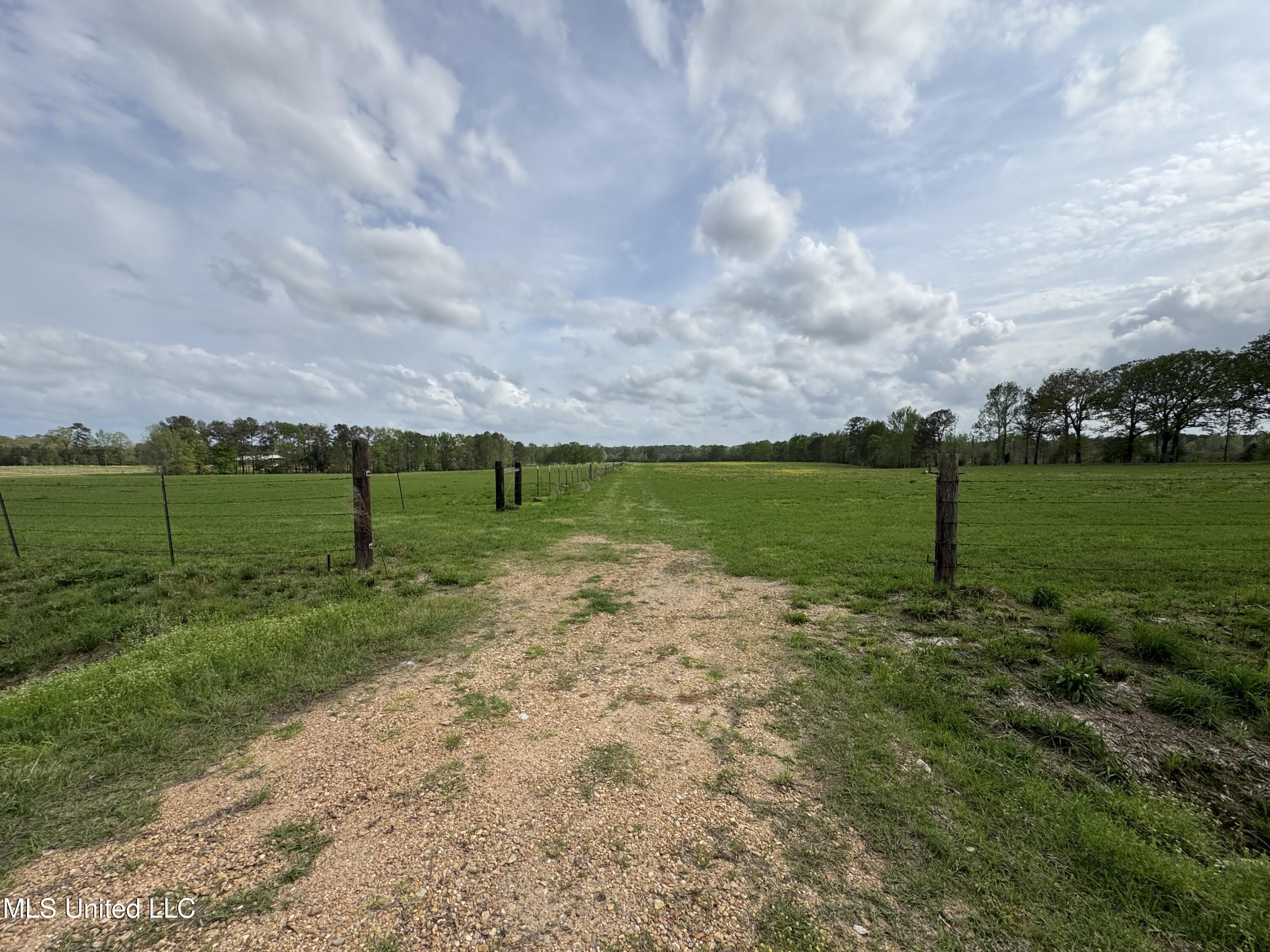 2509 Bogue Chitto Road Property Photo 68