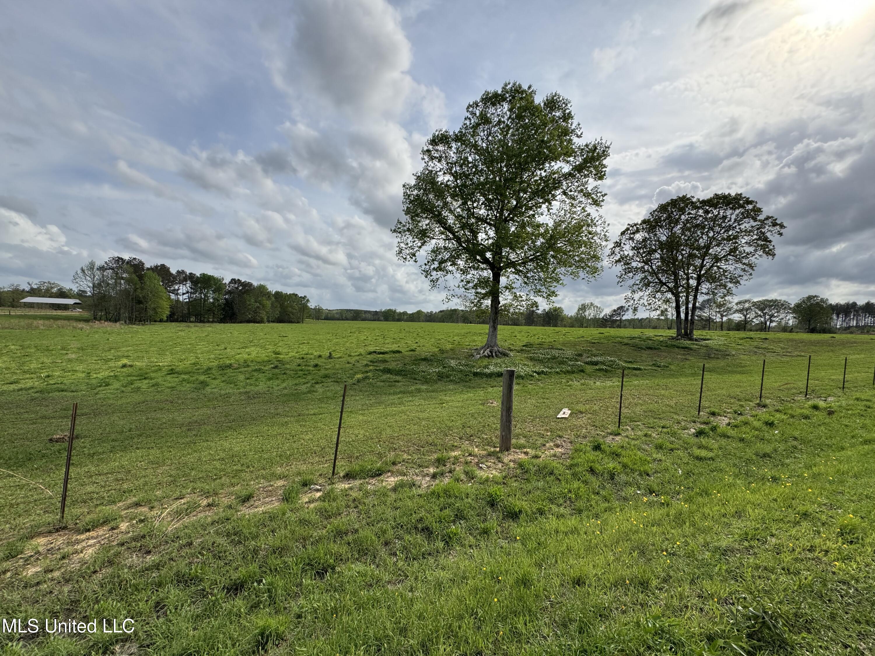 2509 Bogue Chitto Road Property Photo 69