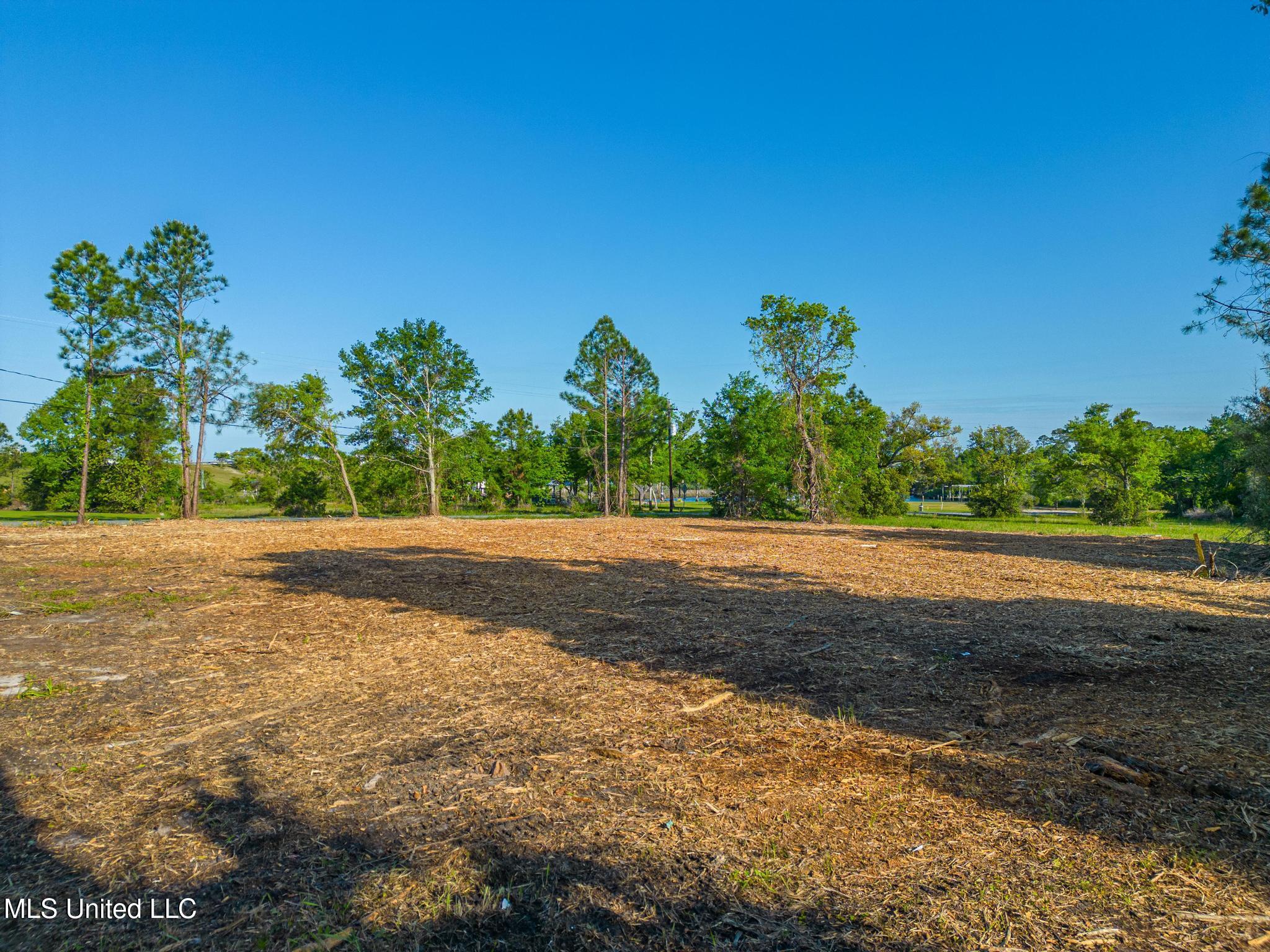 102 Mcclung Street Property Photo 8