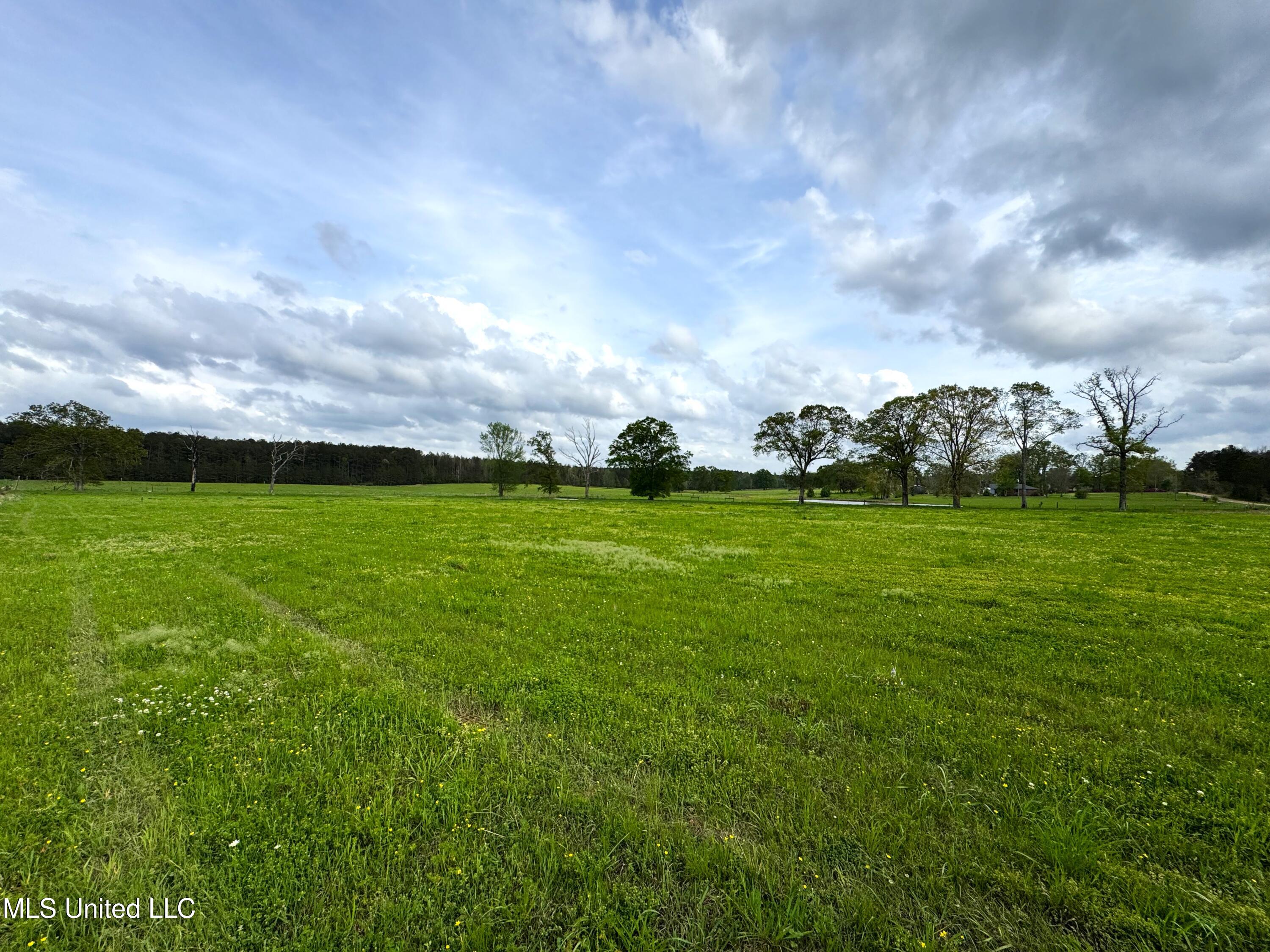 2451a Dalton Lane Property Photo 2