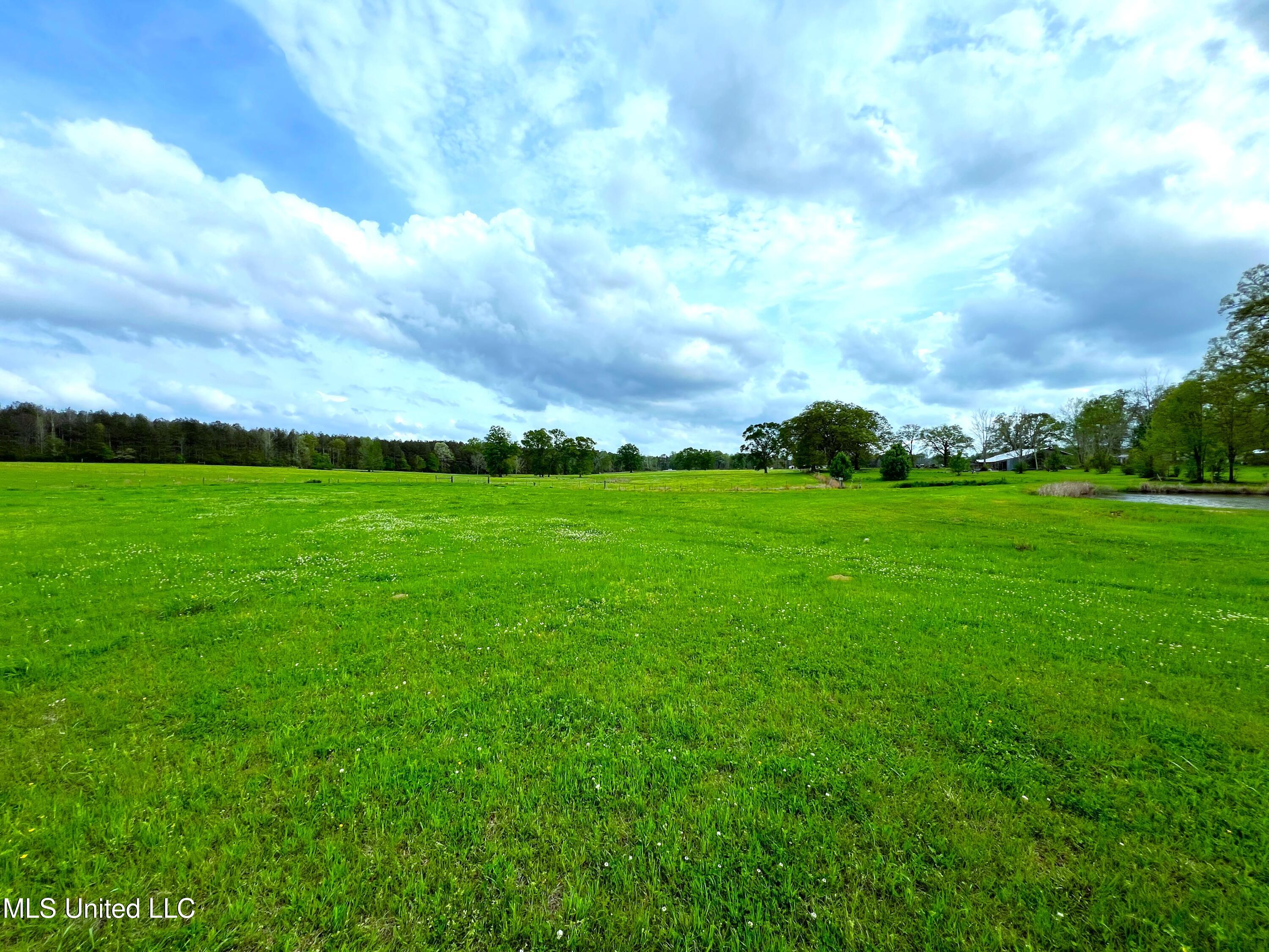 2451a Dalton Lane Property Photo 6