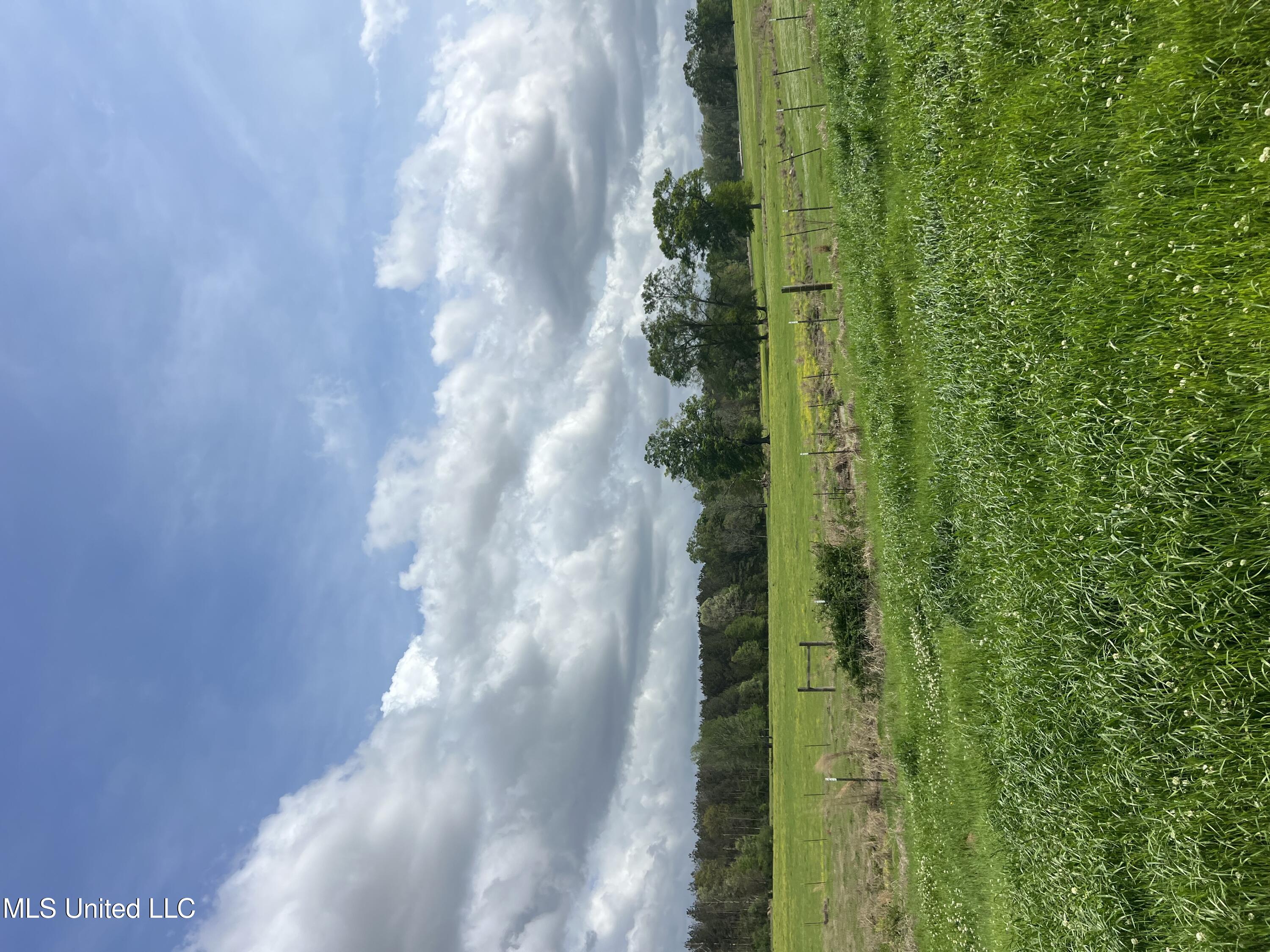 2451a Dalton Lane Property Photo 10