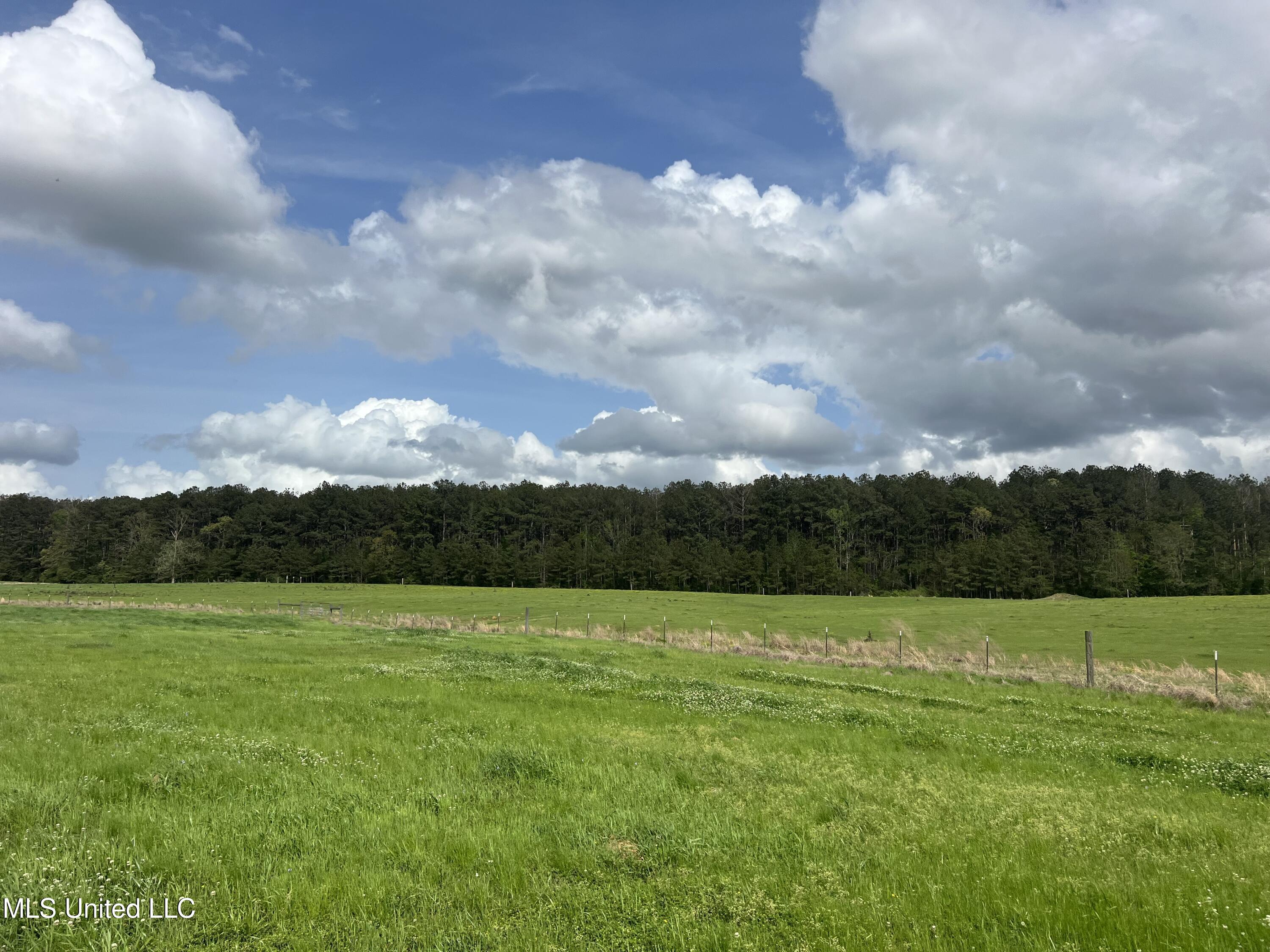 2451a Dalton Lane Property Photo 11