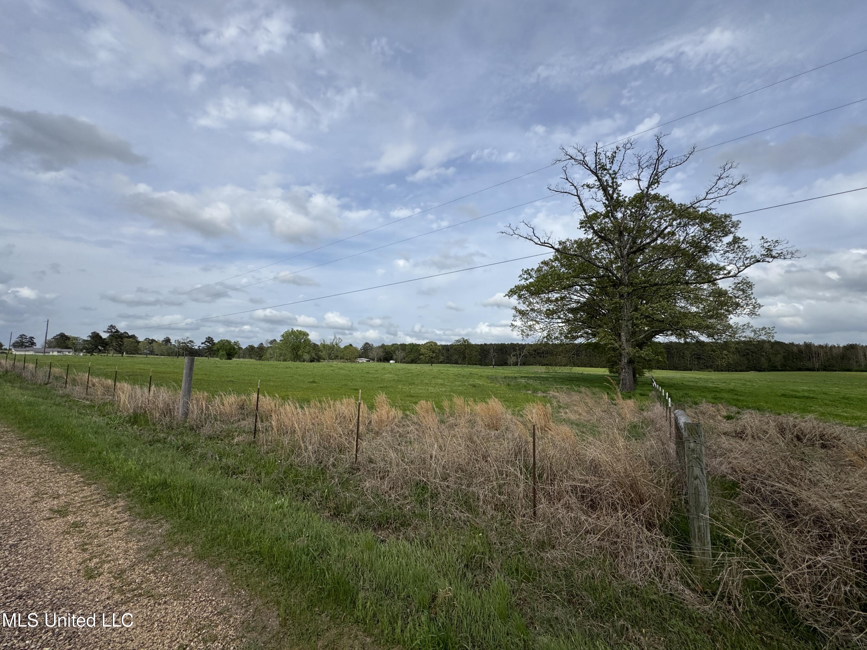 2451a Dalton Lane Property Photo 18