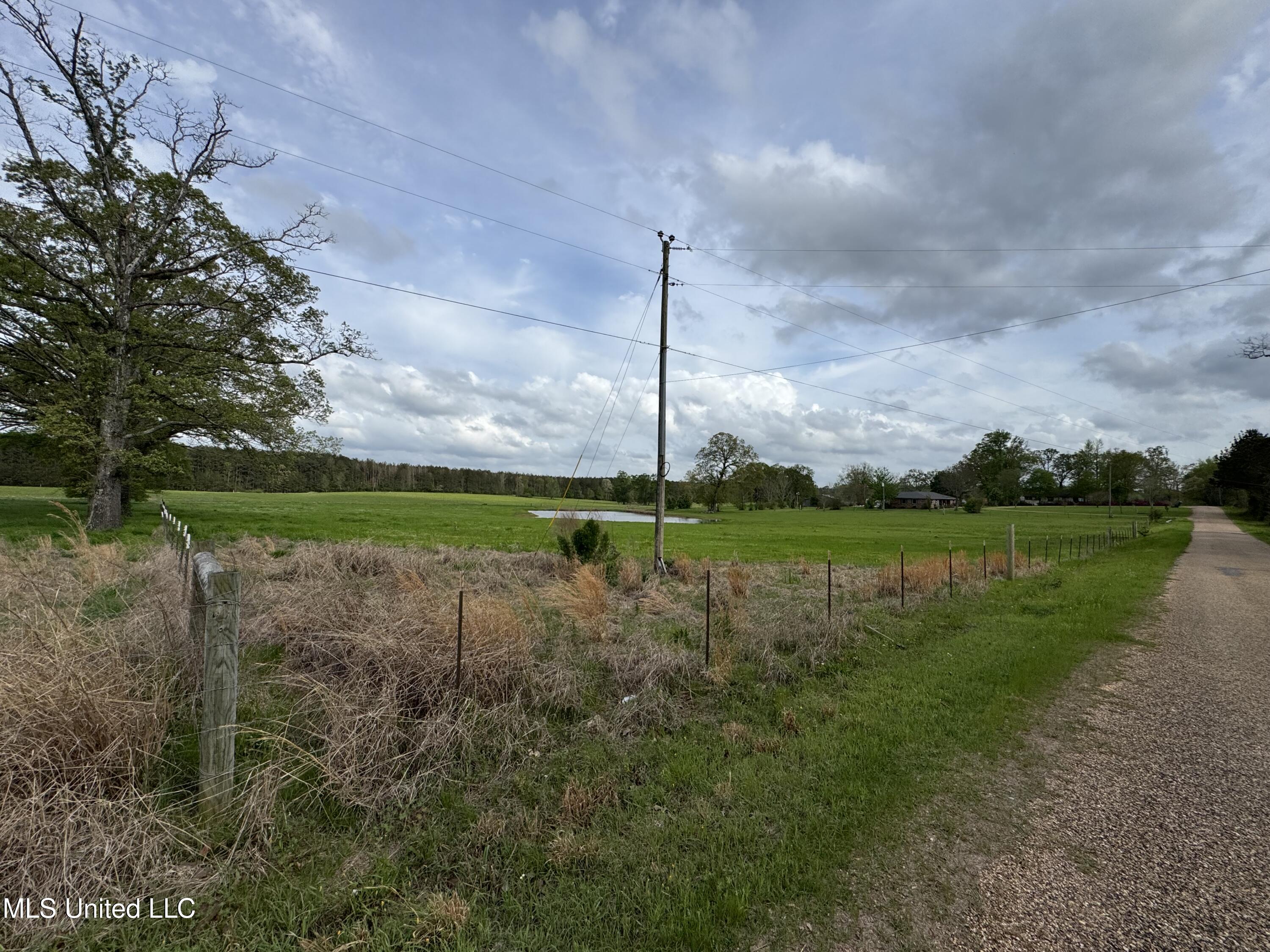 2451a Dalton Lane Property Photo 19