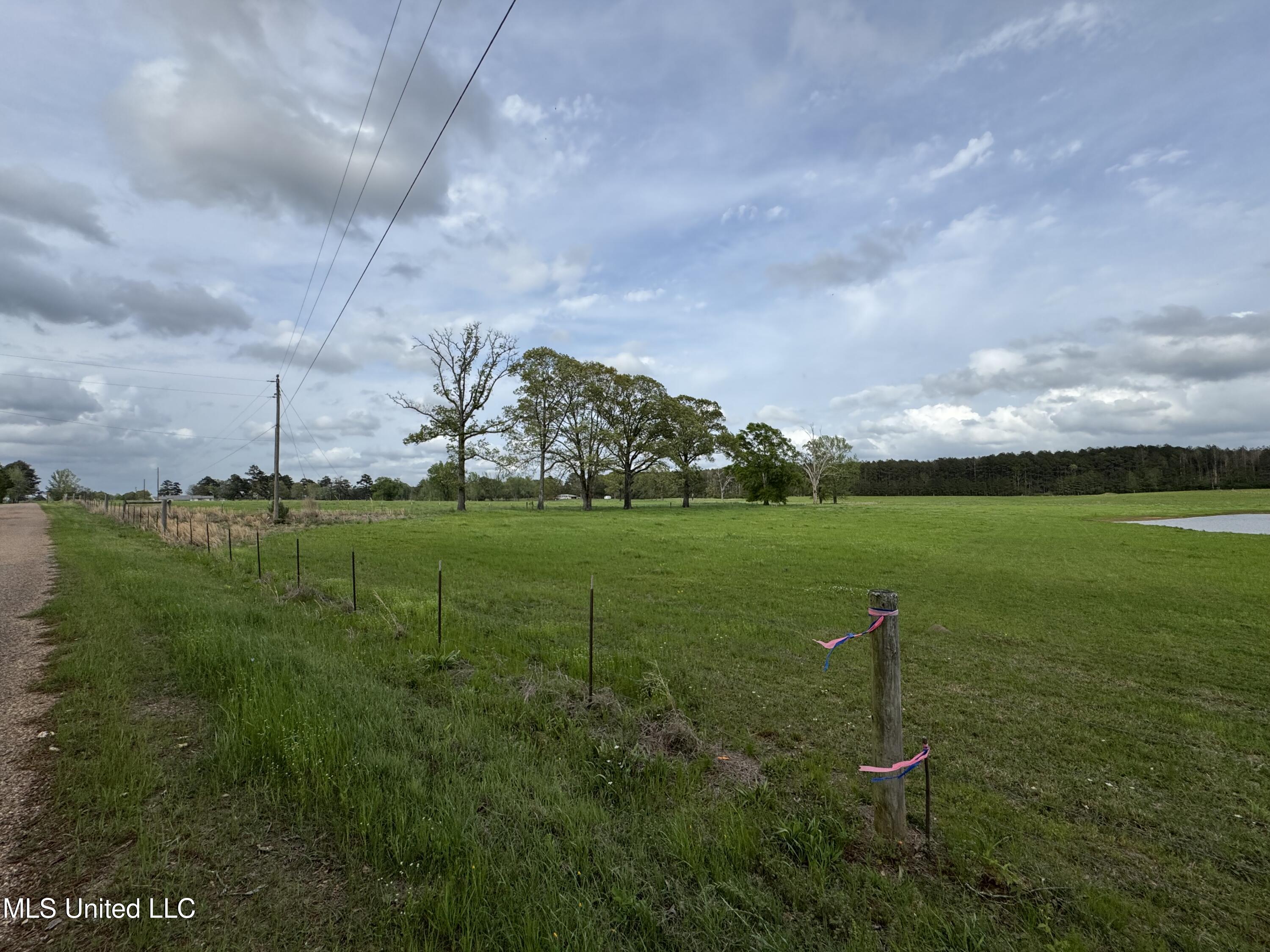 2451a Dalton Lane Property Photo 21