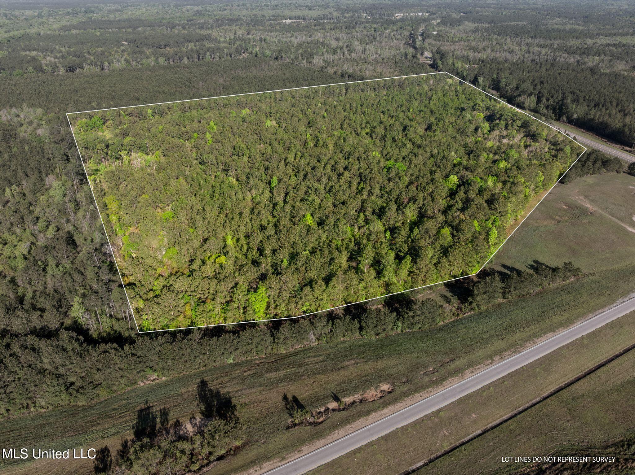 Old Hwy 63 N Property Photo 1