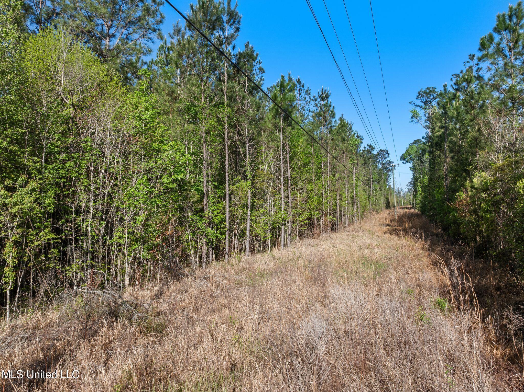Old Hwy 63 N Property Photo 5